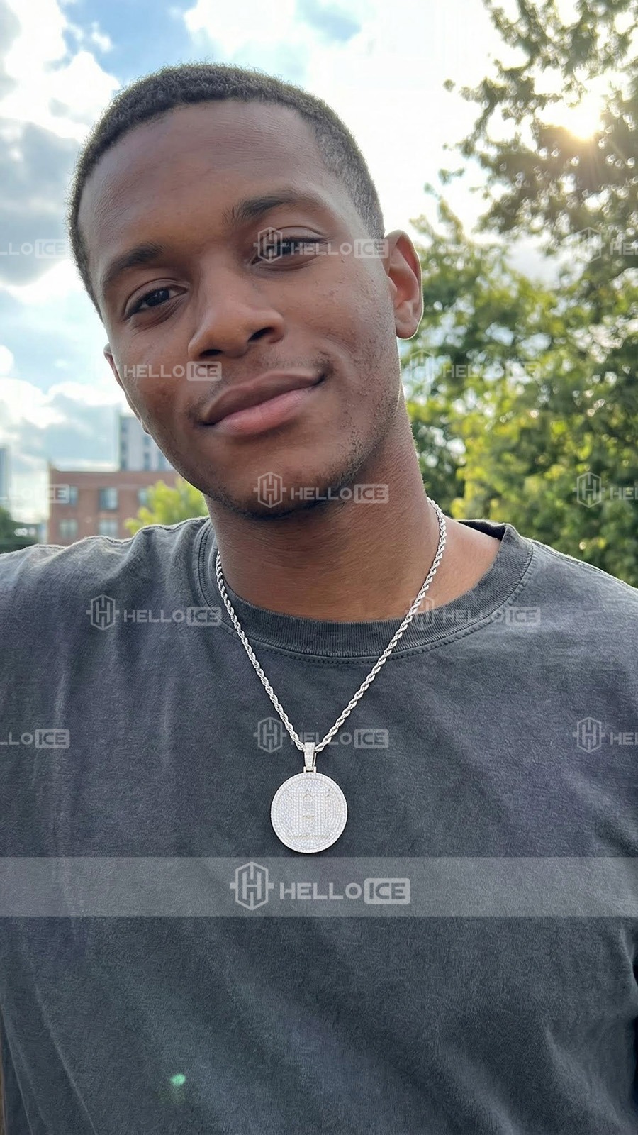 Helloice Review Image