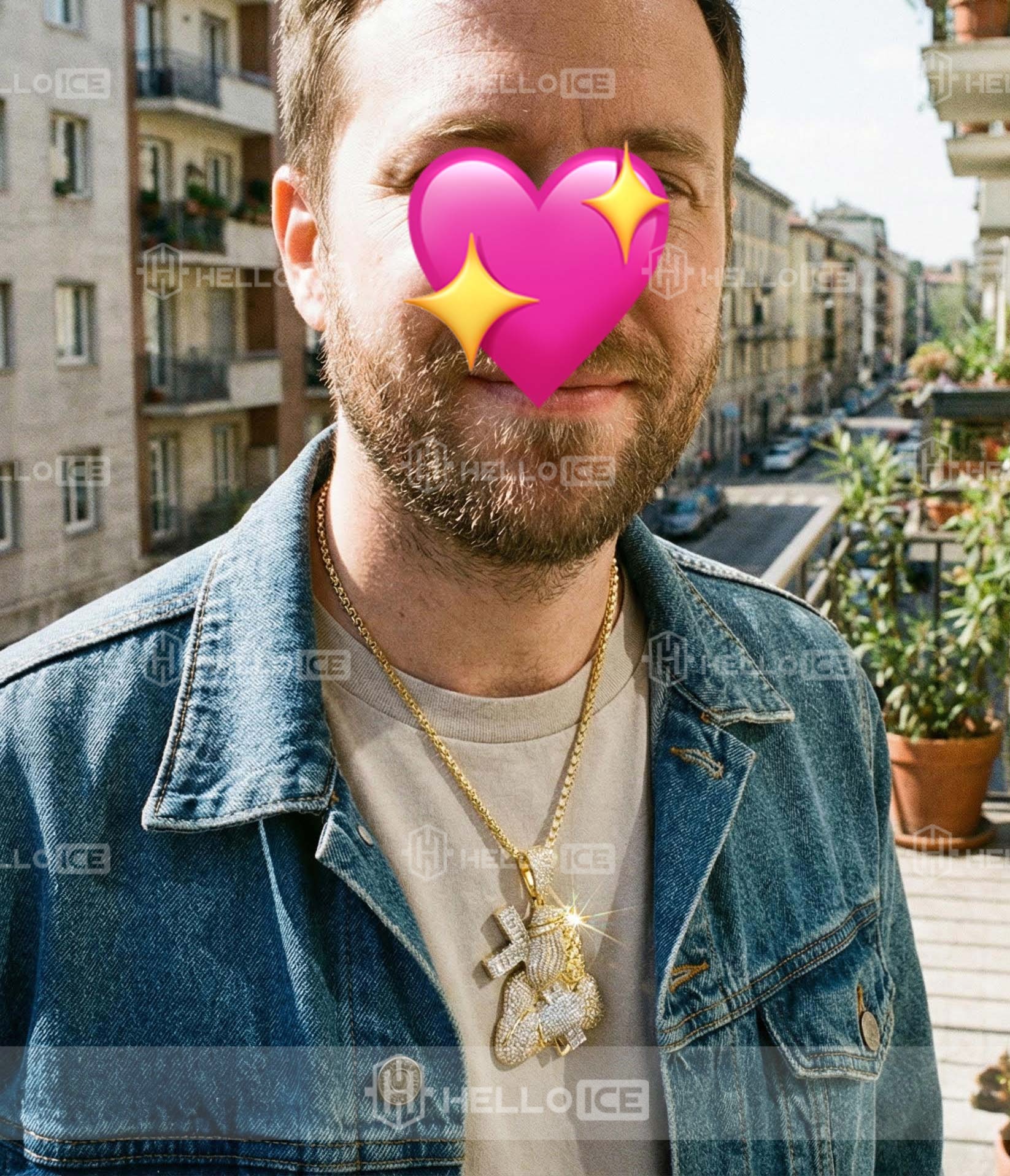 Helloice Review Image