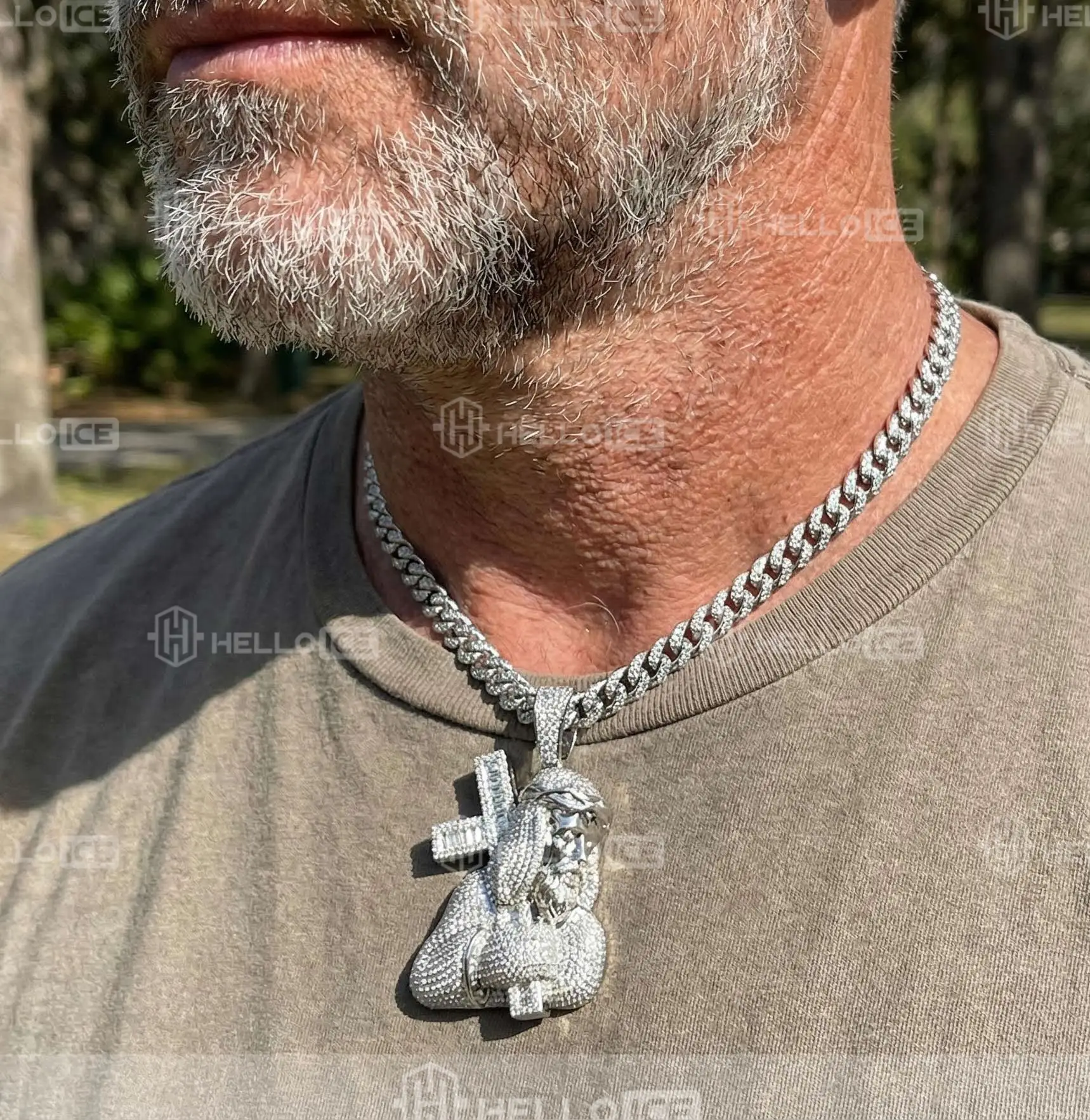 Helloice Review Image