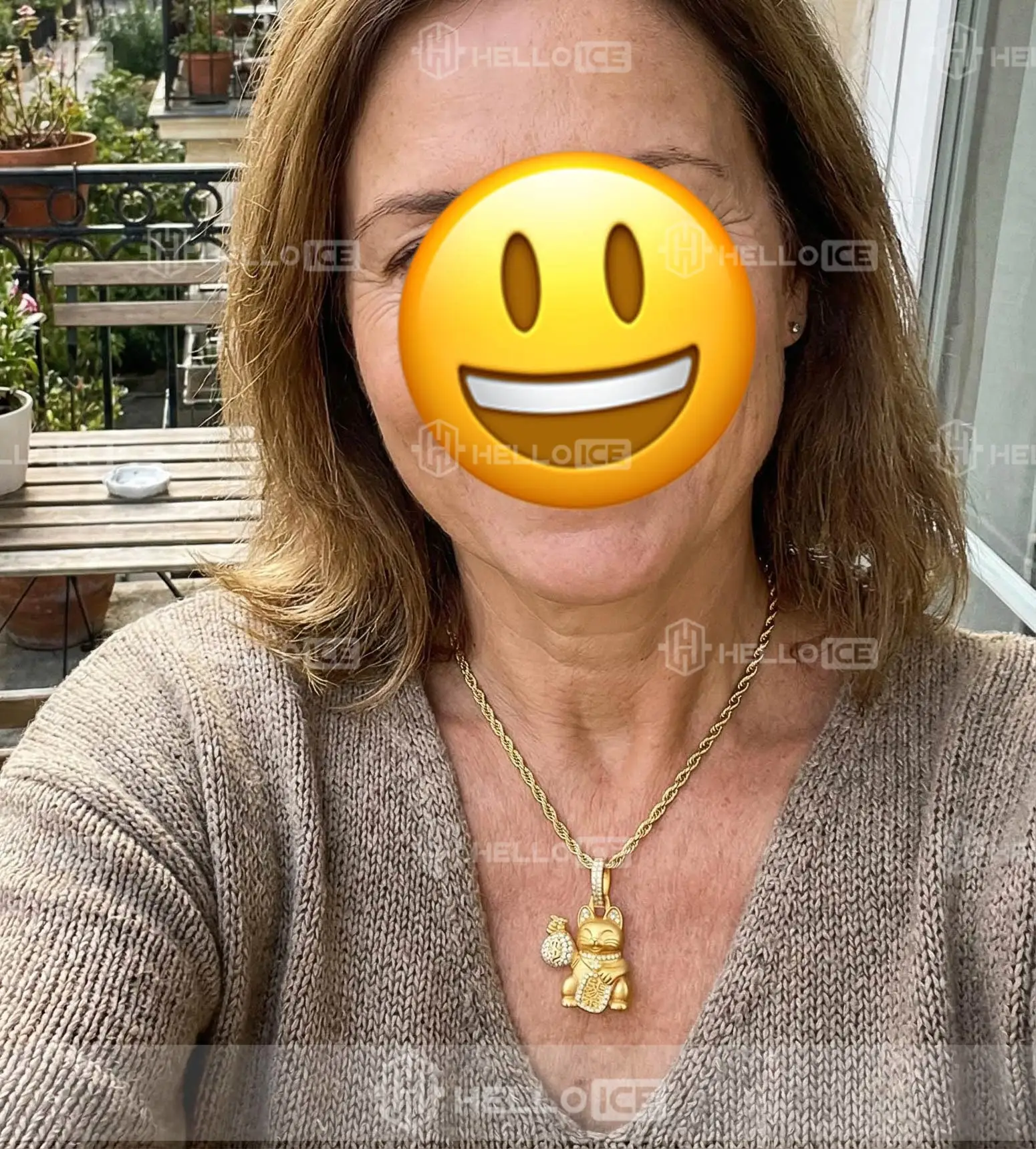 Helloice Review Image