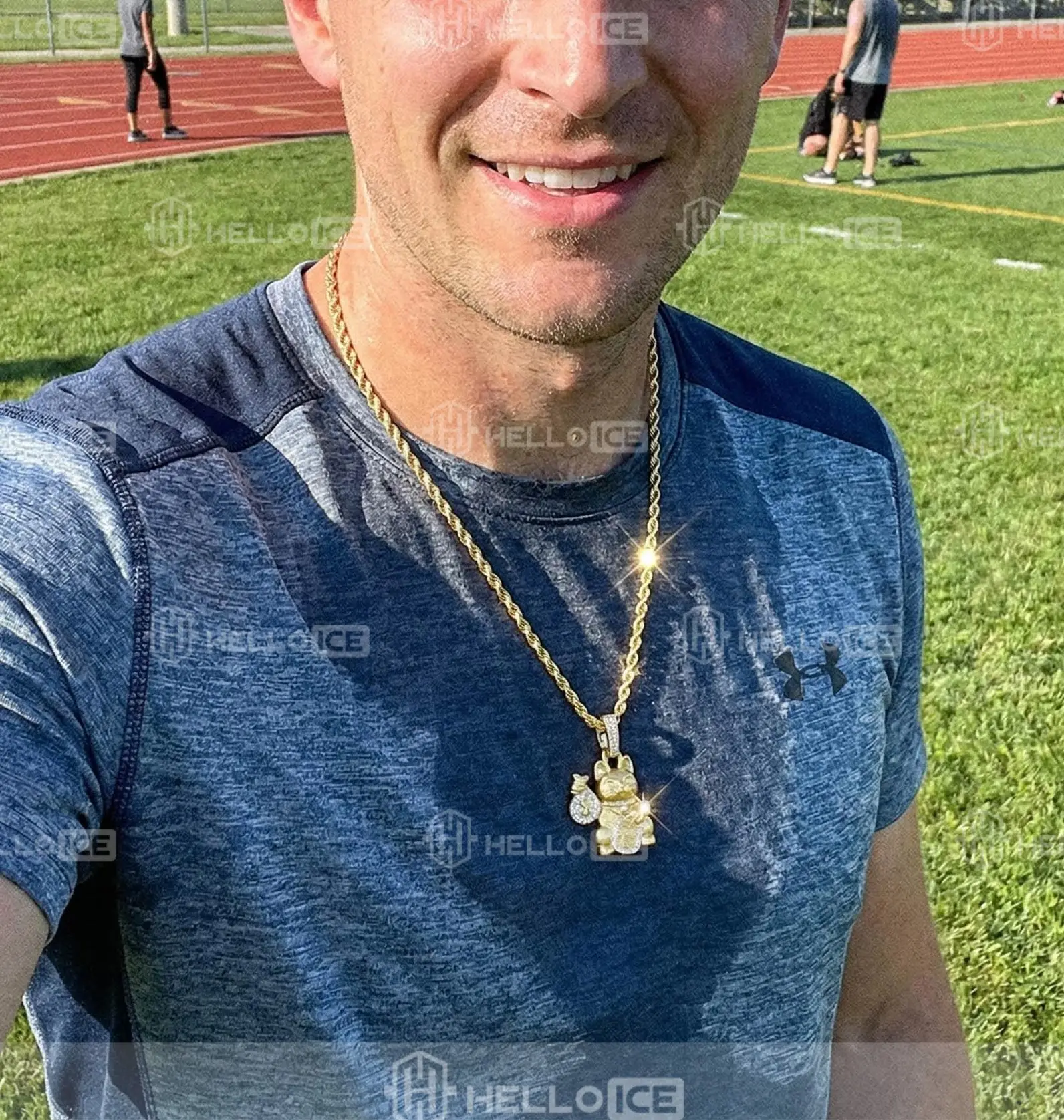 Helloice Review Image