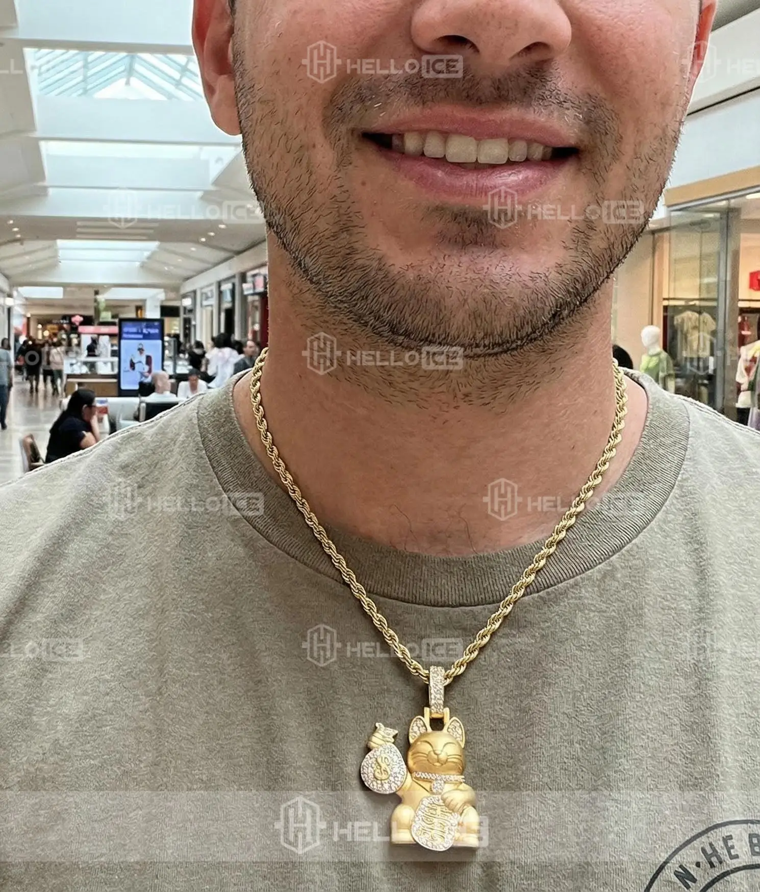 Helloice Review Image