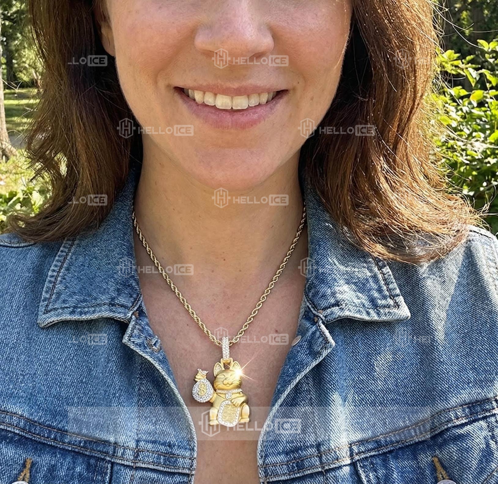 Helloice Review Image