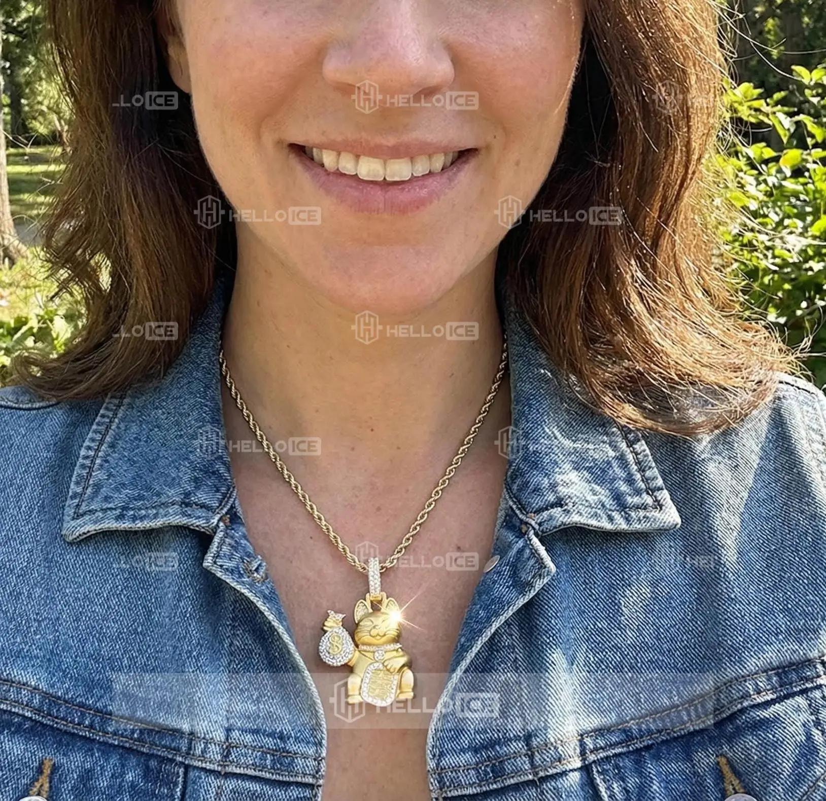 Helloice Review Image