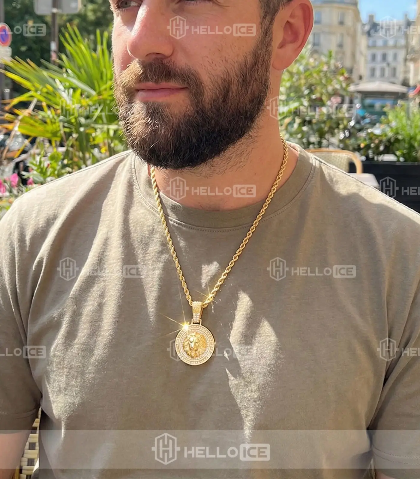 Helloice Review Image