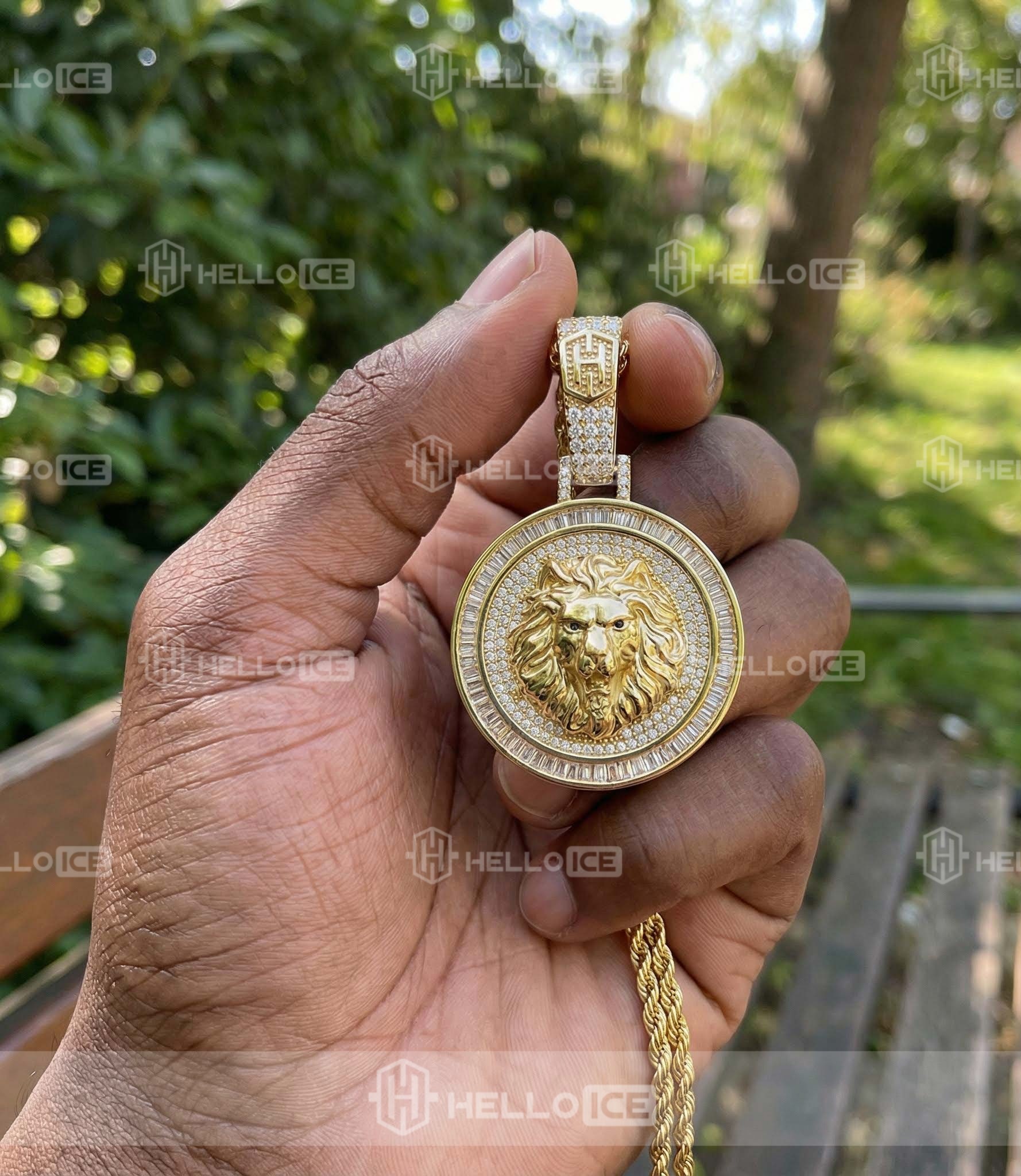 Helloice Review Image