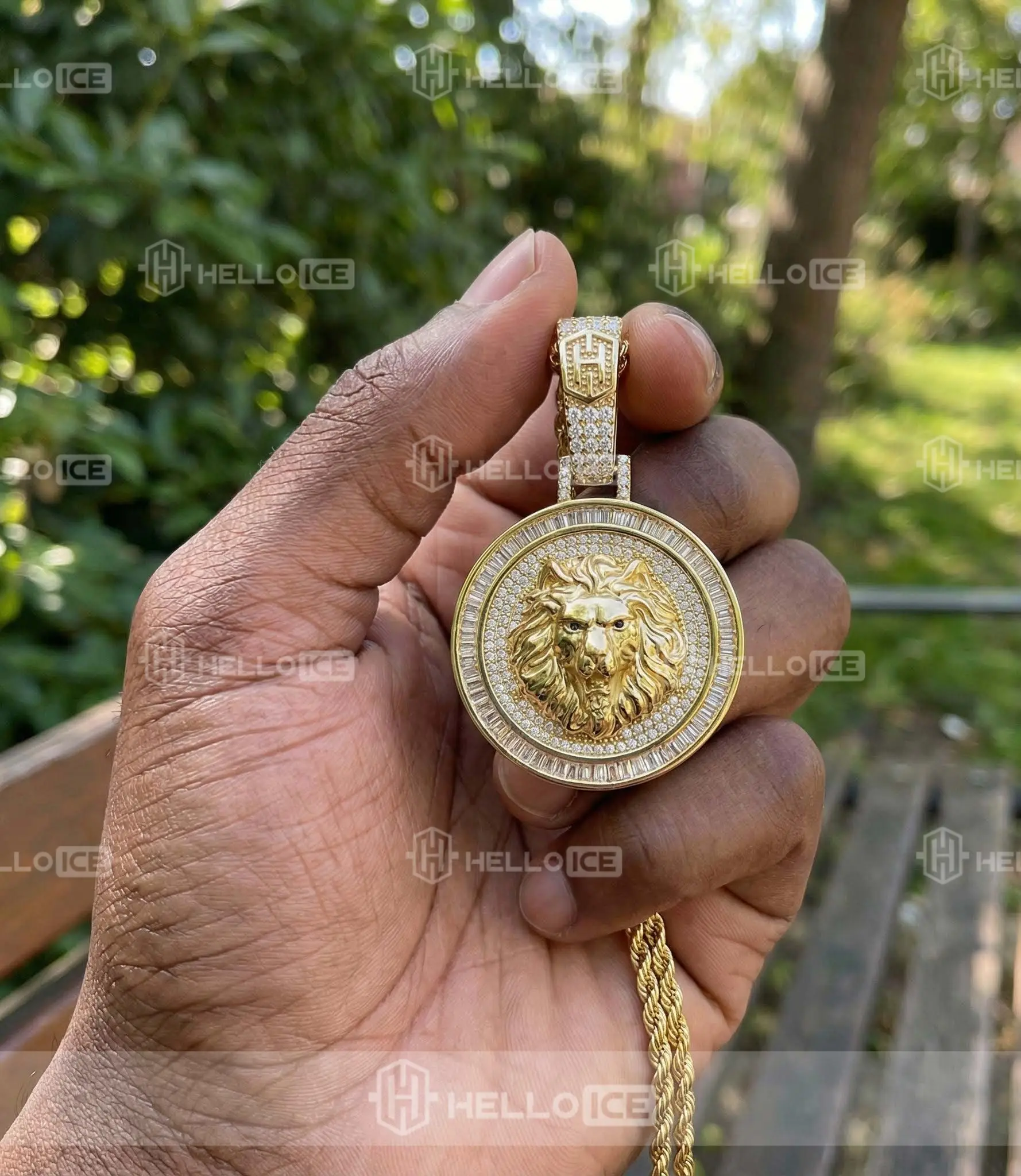 Helloice Review Image