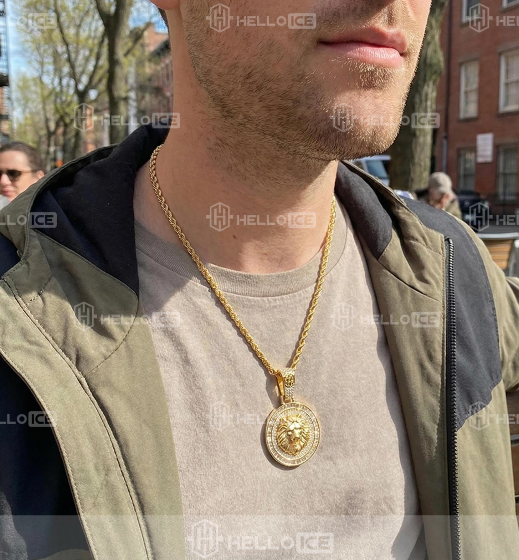 Helloice Review Image