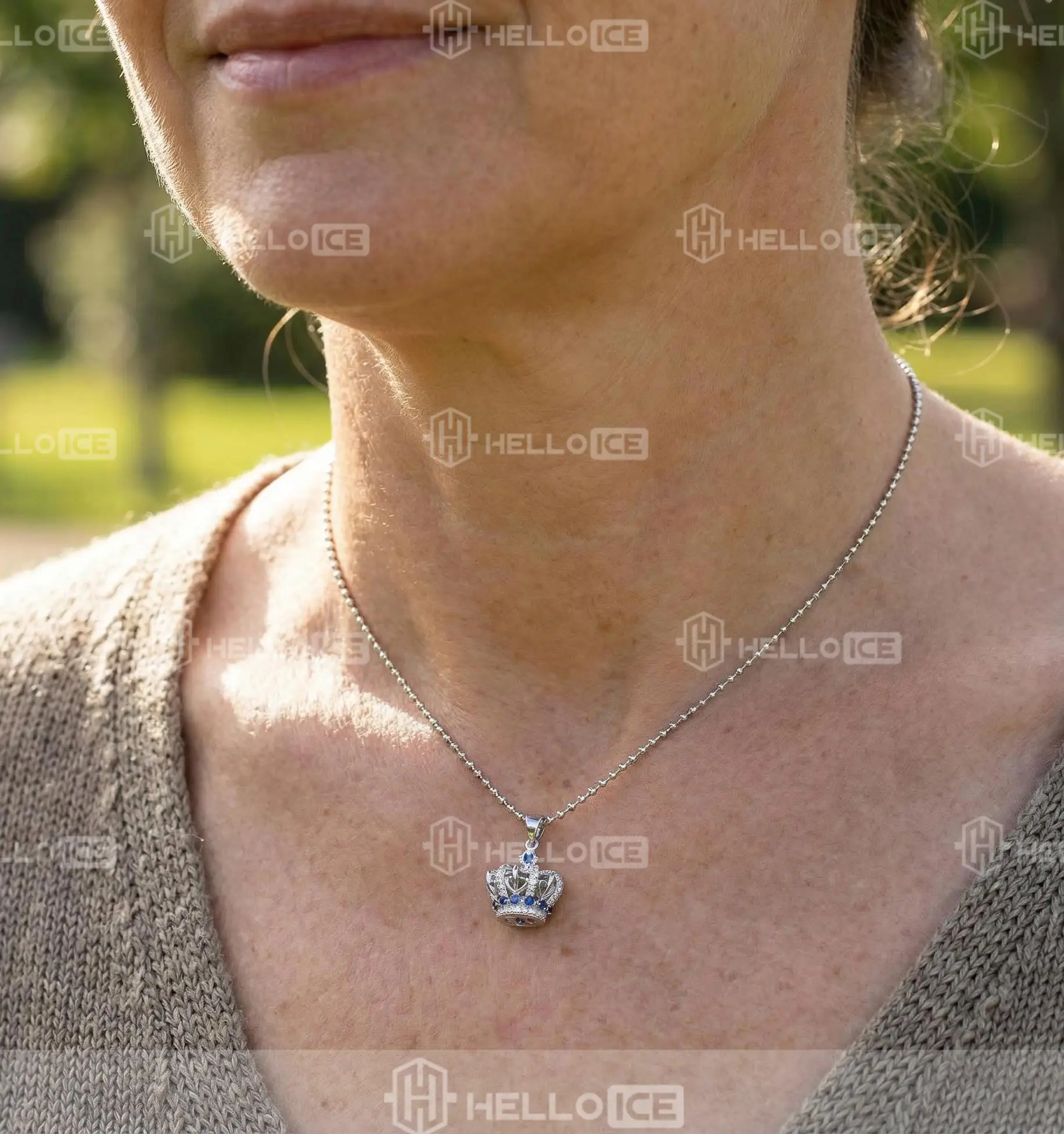 Helloice Review Image