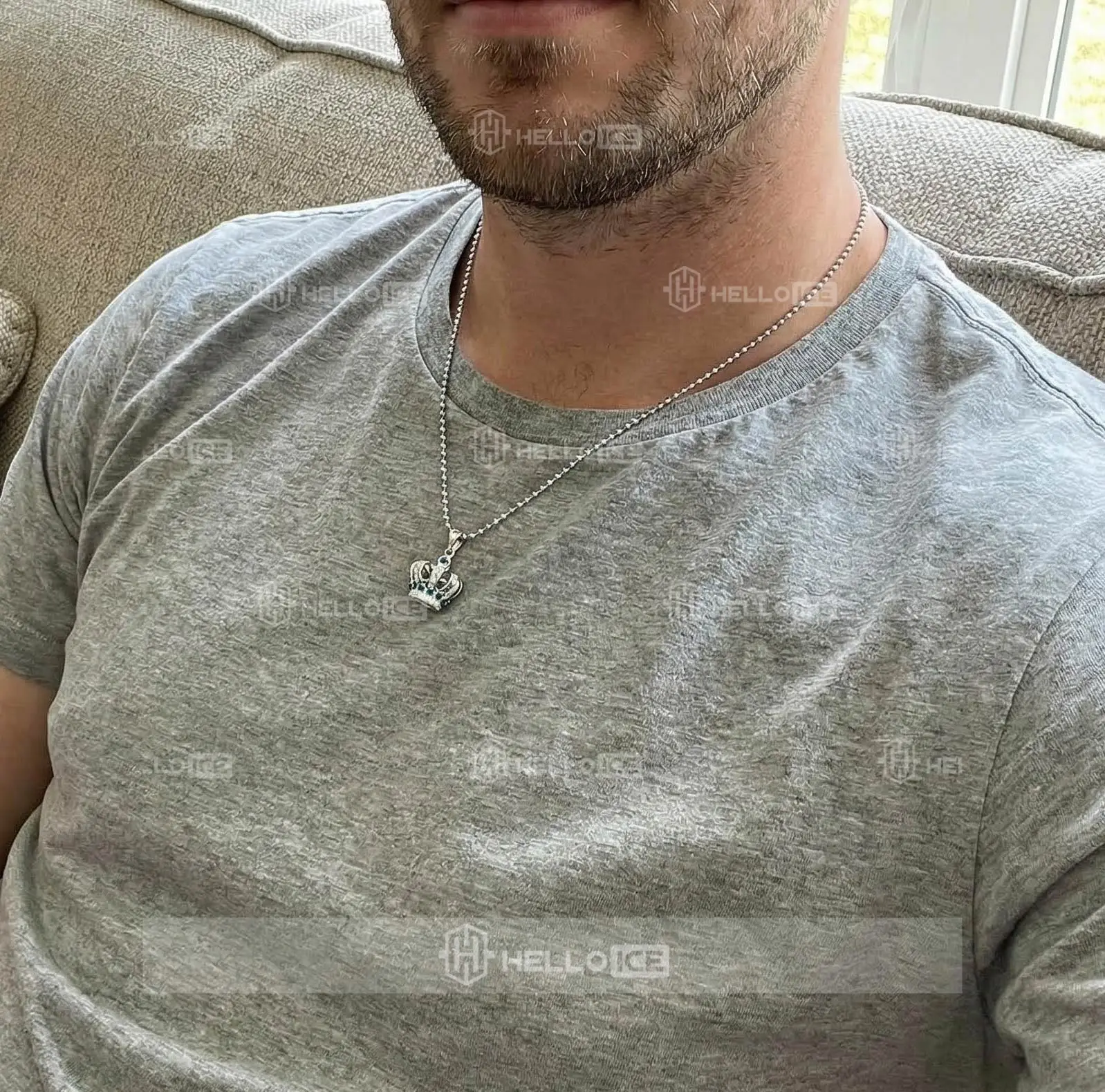 Helloice Review Image