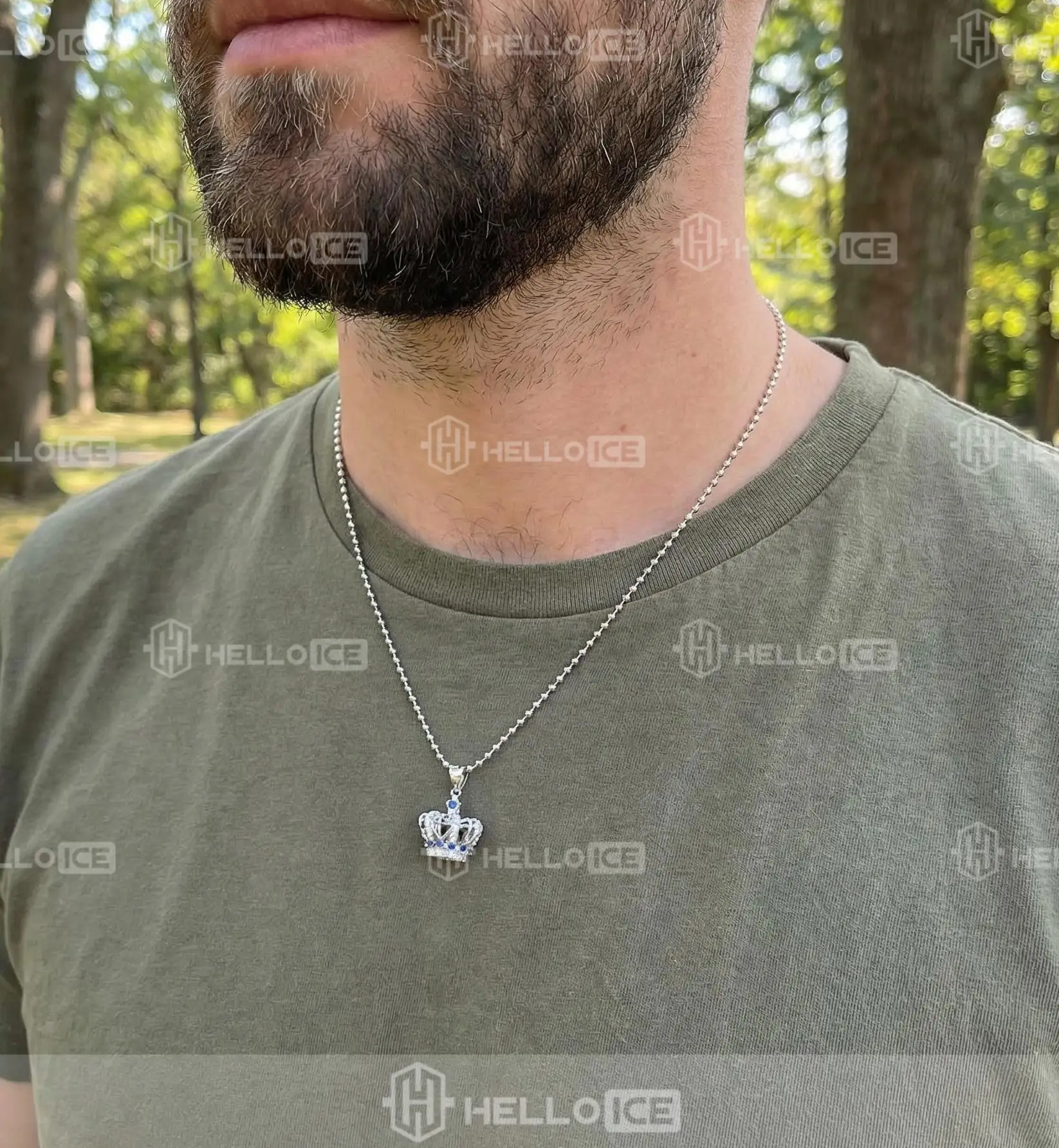 Helloice Review Image