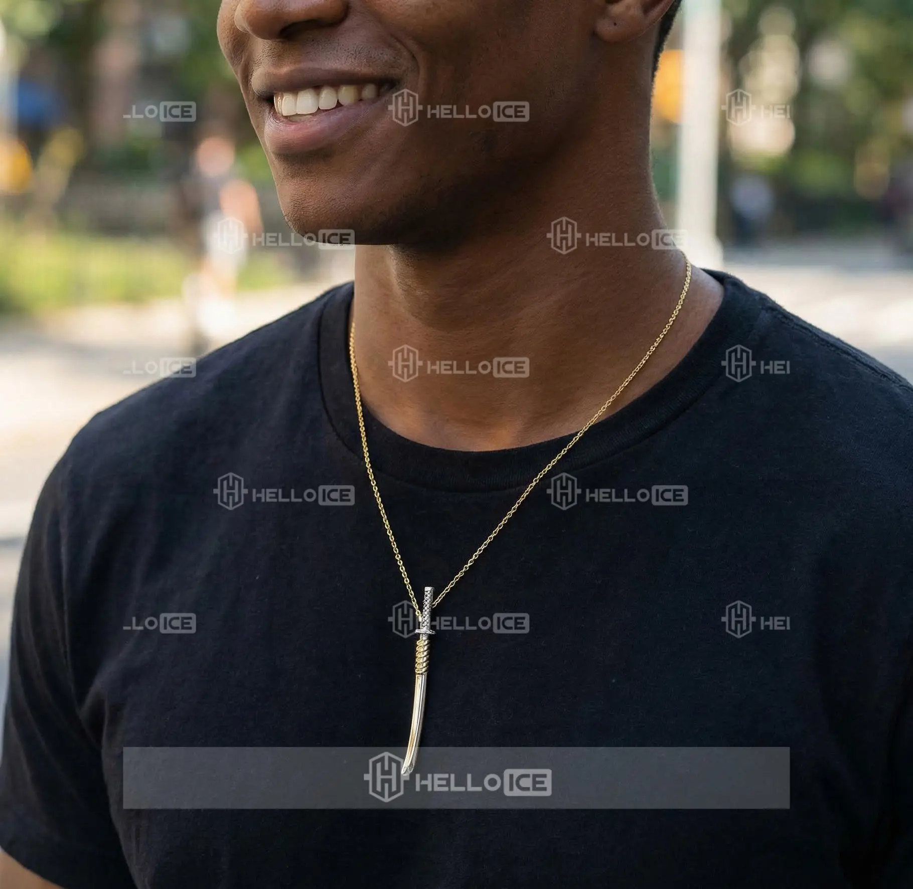 Helloice Review Image