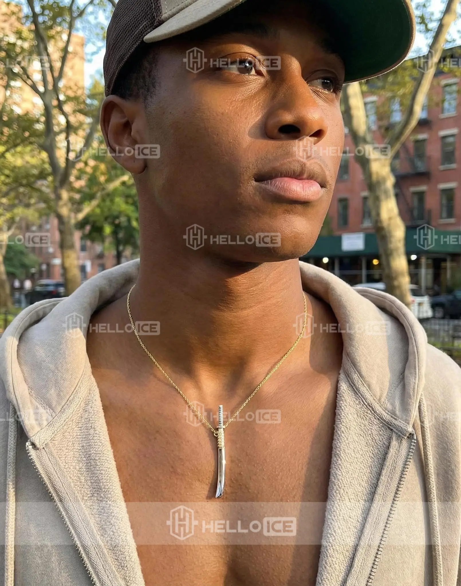 Helloice Review Image