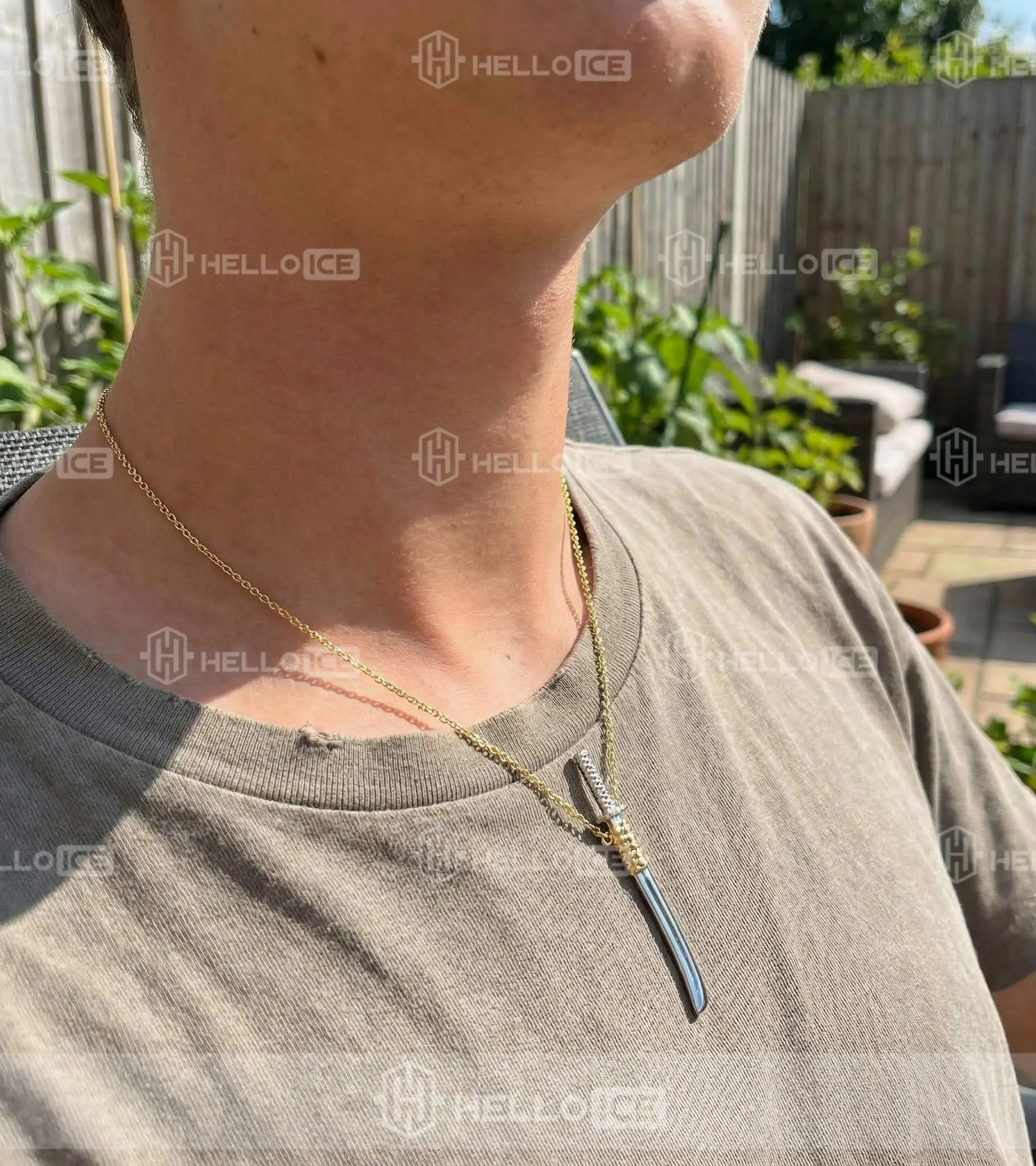 Helloice Review Image