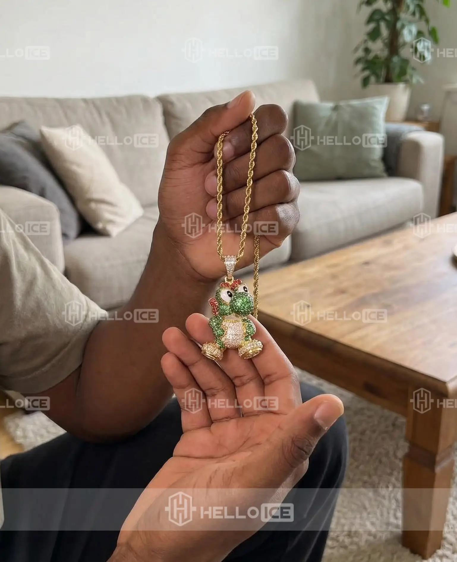 Helloice Review Image