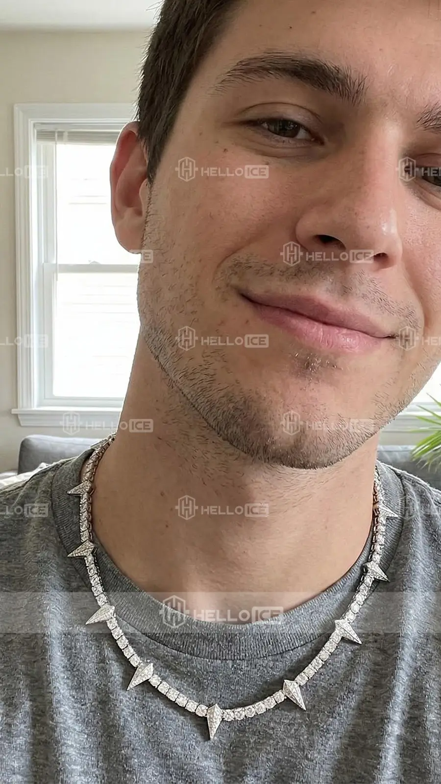 Helloice Review Image