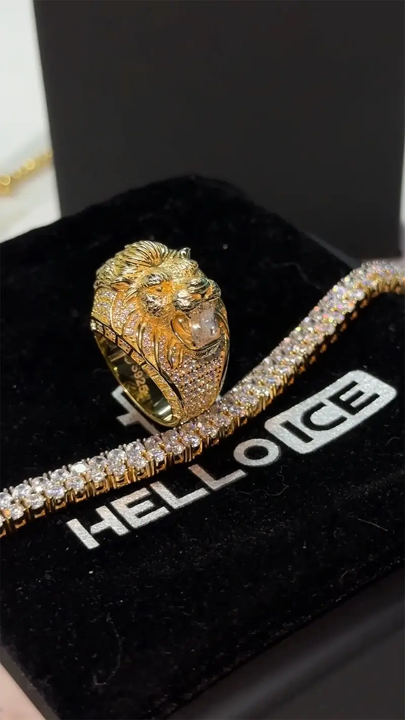 Helloice Review Image