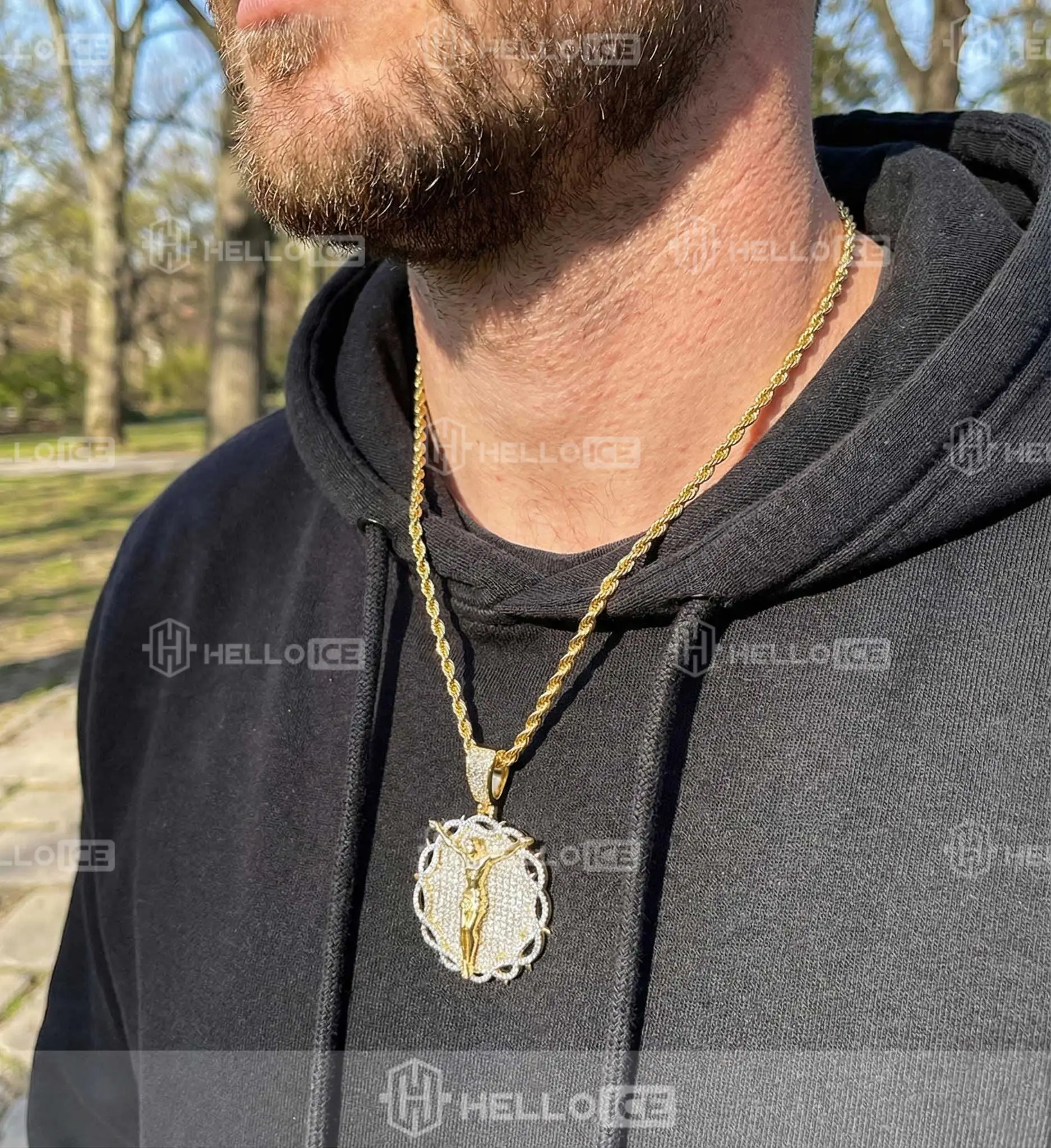 Helloice Review Image