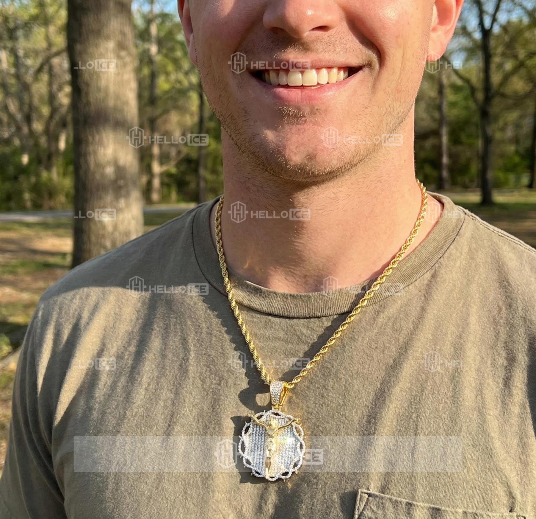 Helloice Review Image