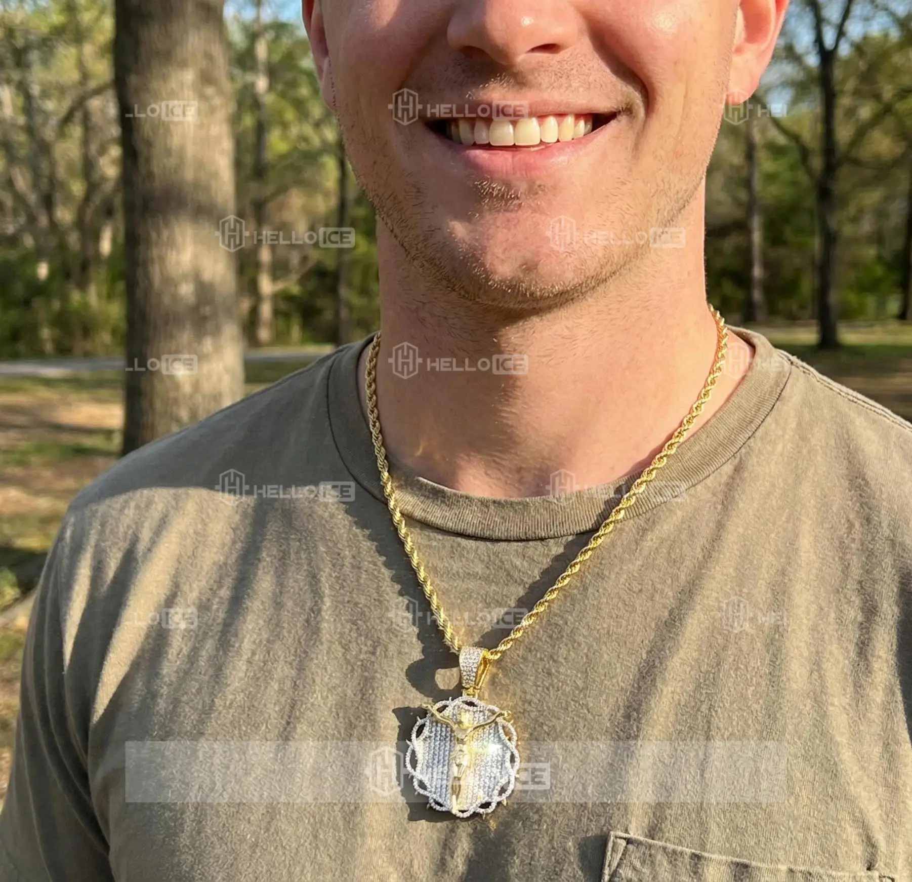 Helloice Review Image