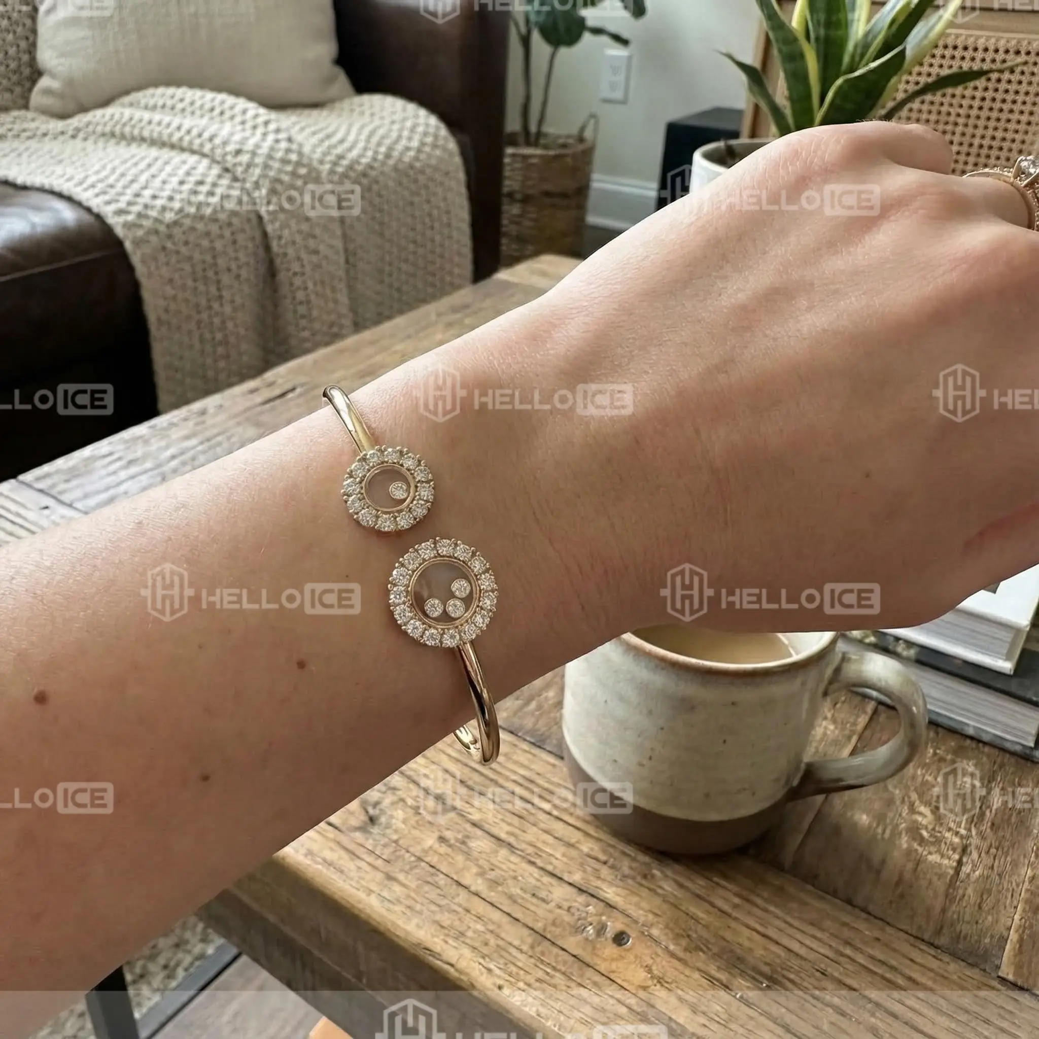 Helloice Review Image