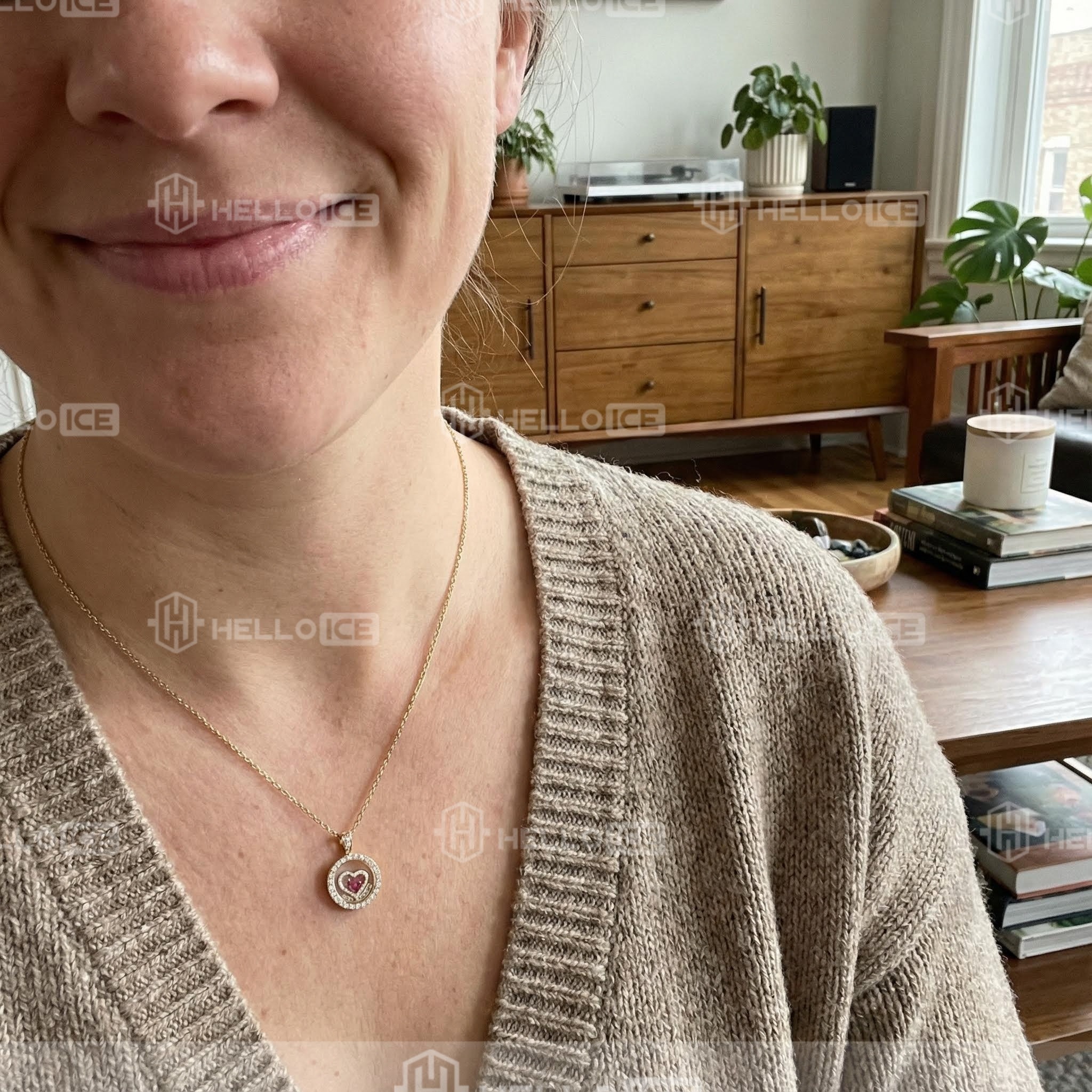 Helloice Review Image