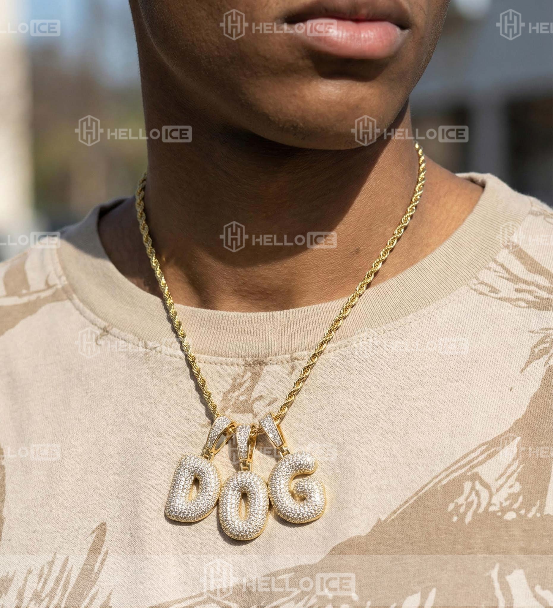 Helloice Review Image