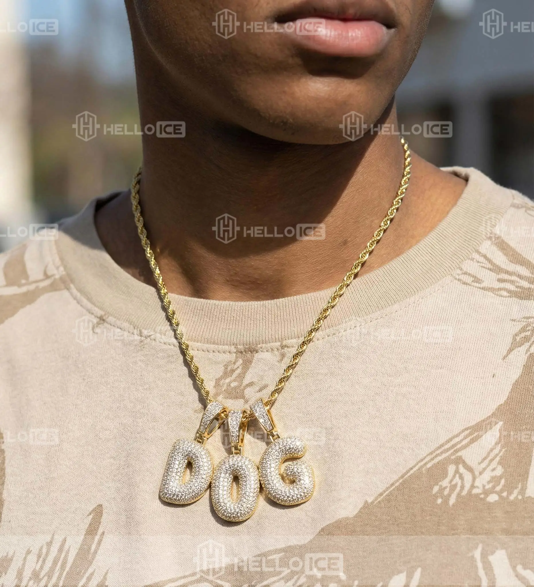 Helloice Review Image