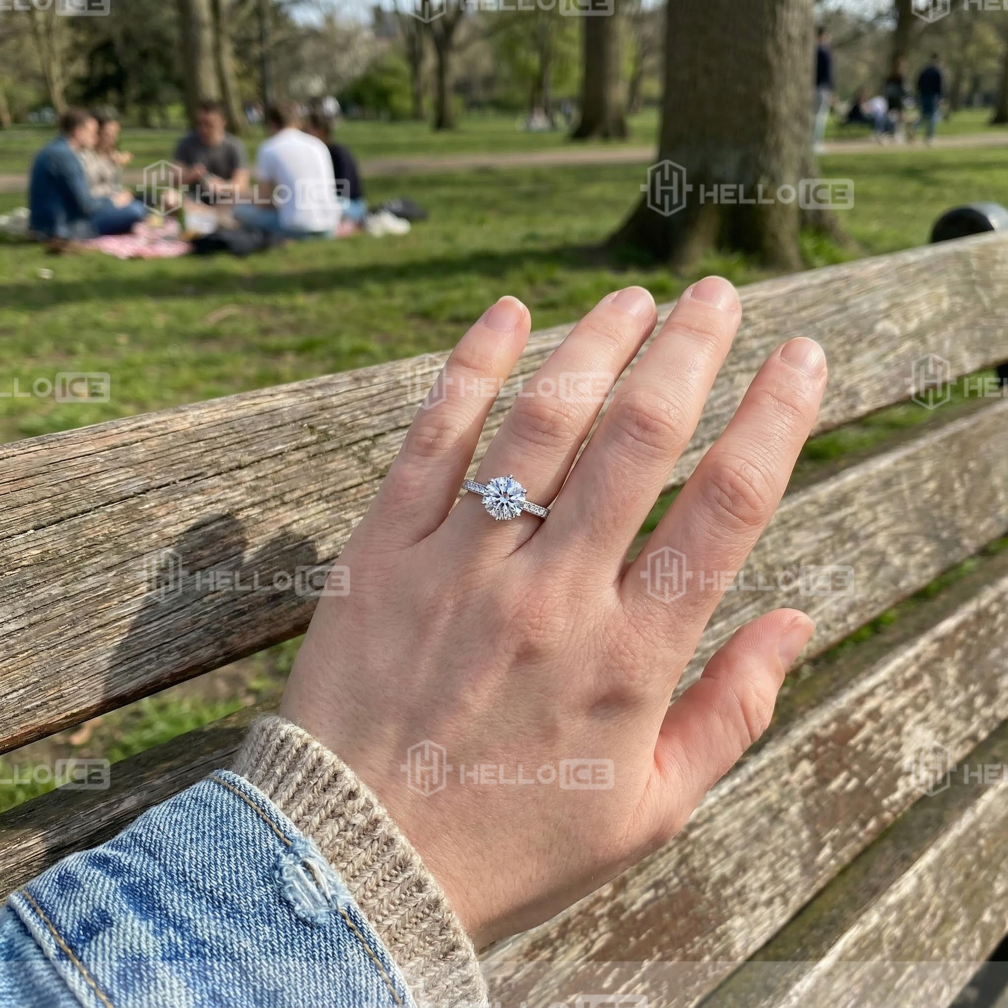 Helloice Review Image