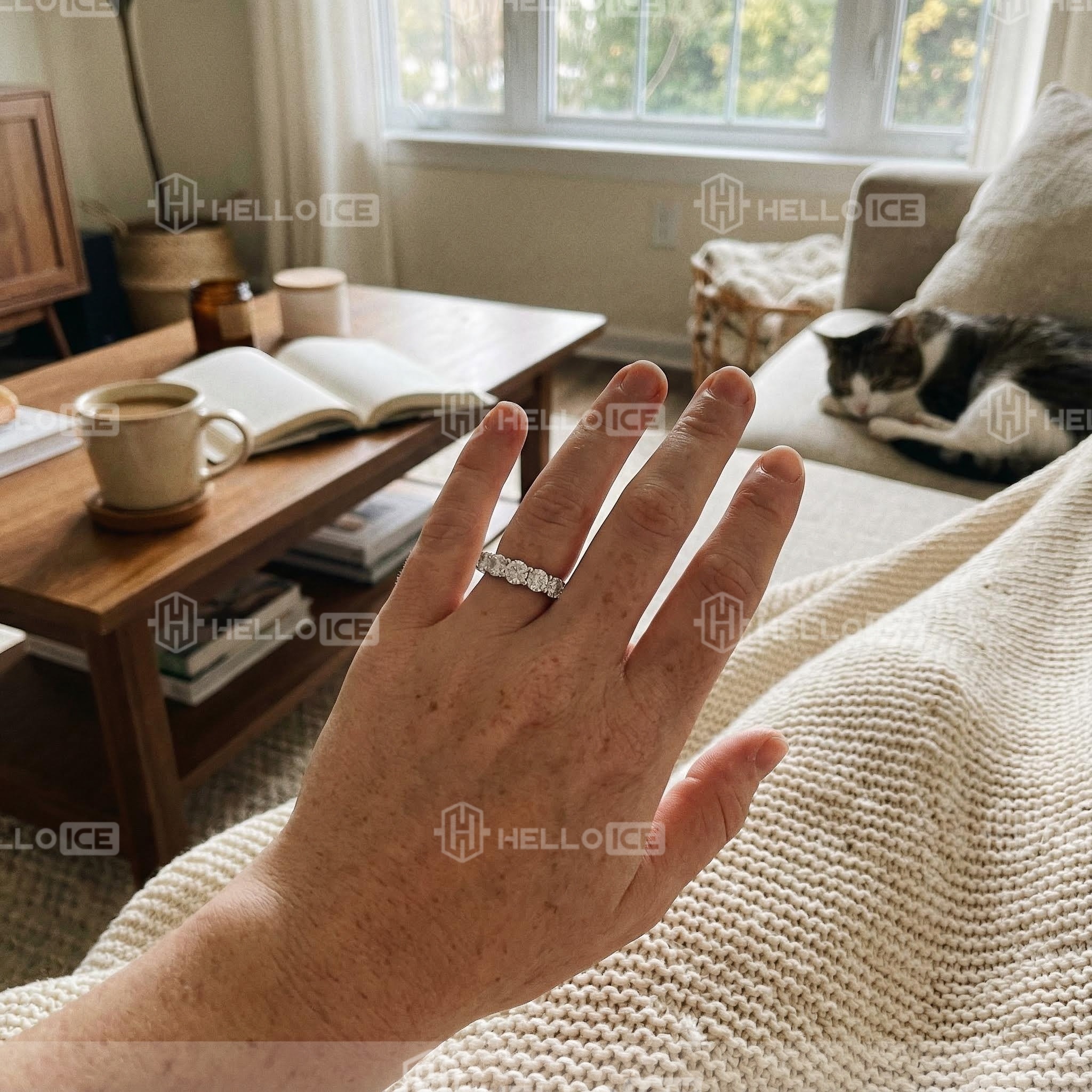 Helloice Review Image