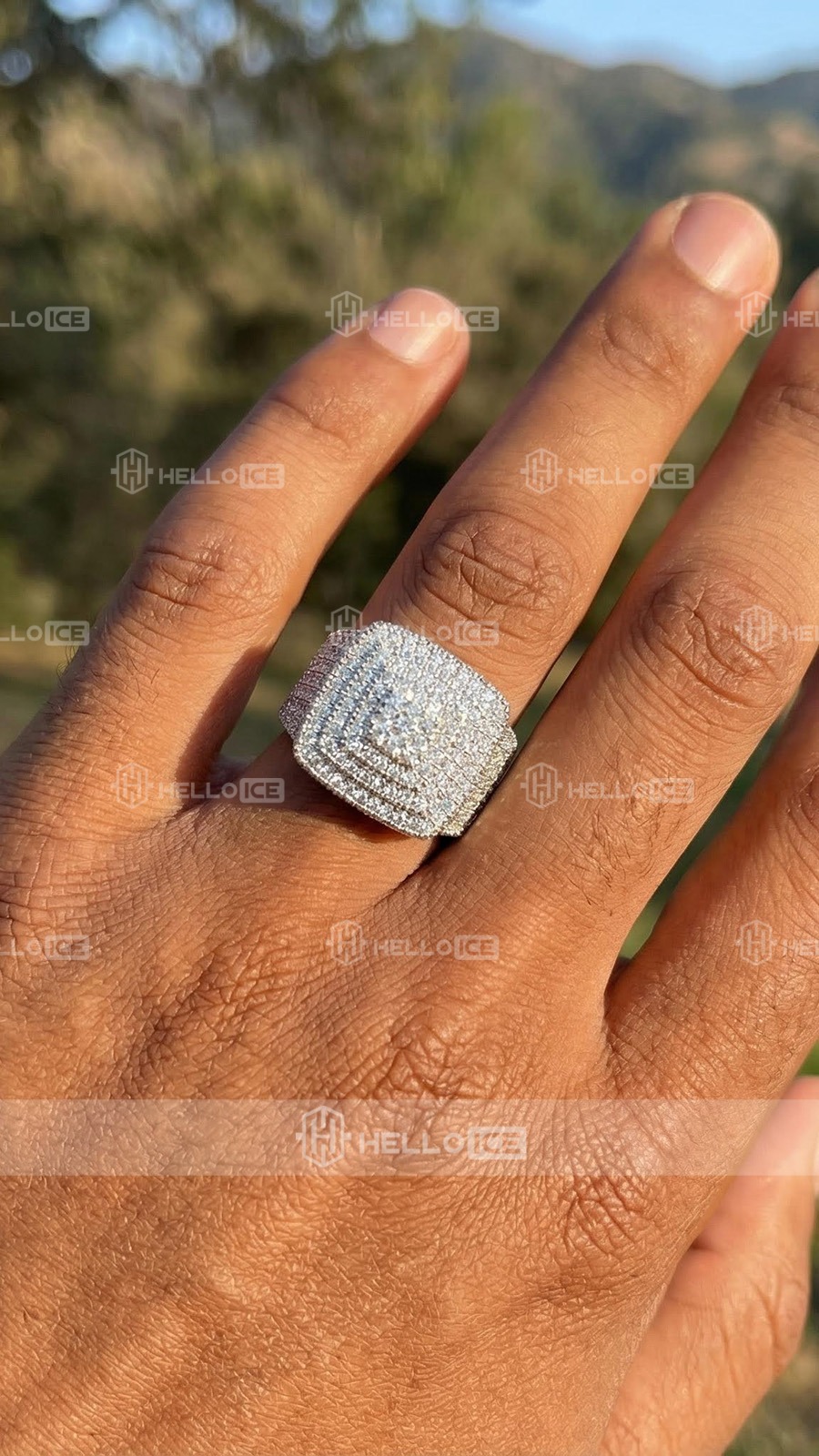 Helloice Review Image