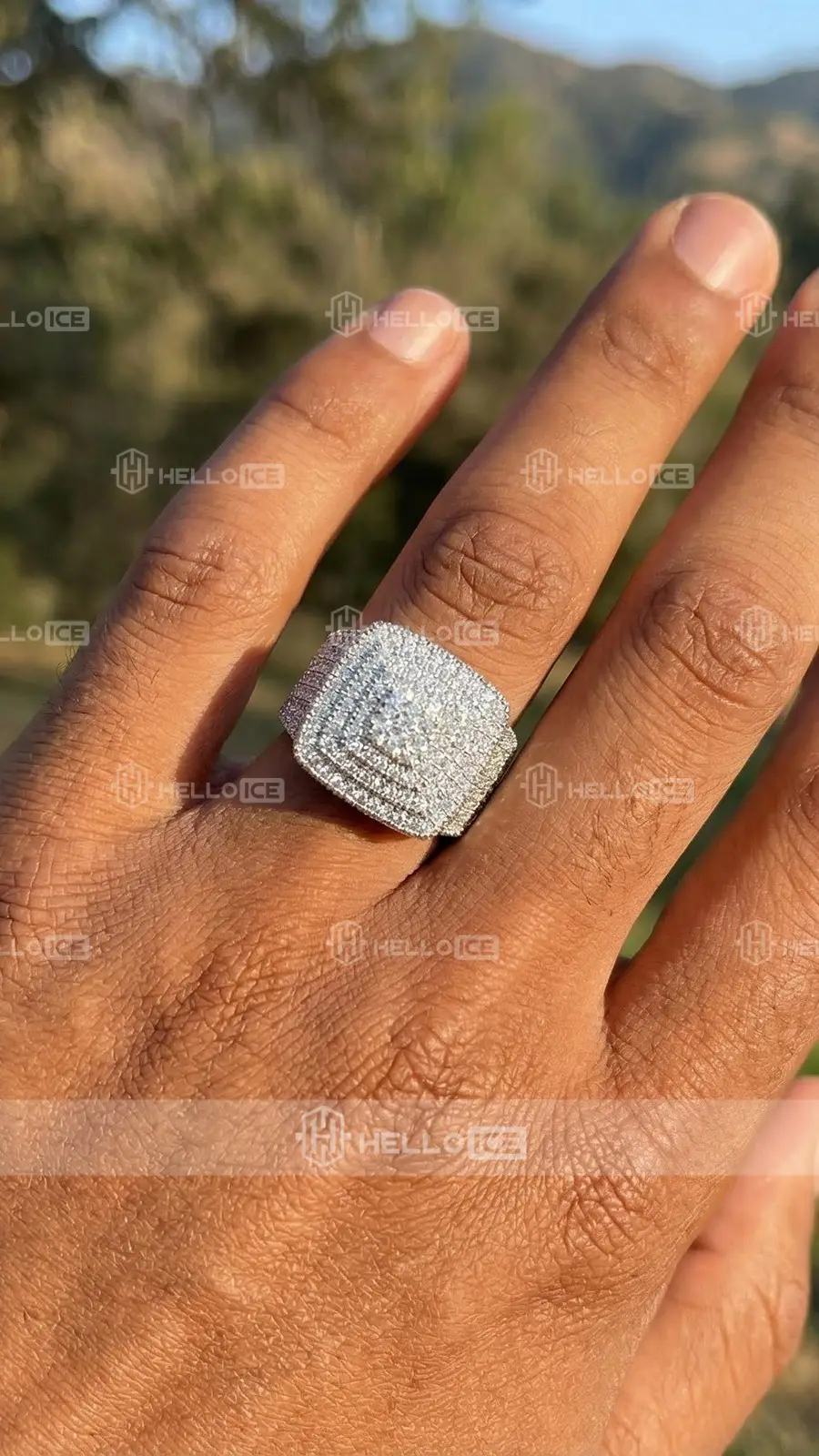 Helloice Review Image