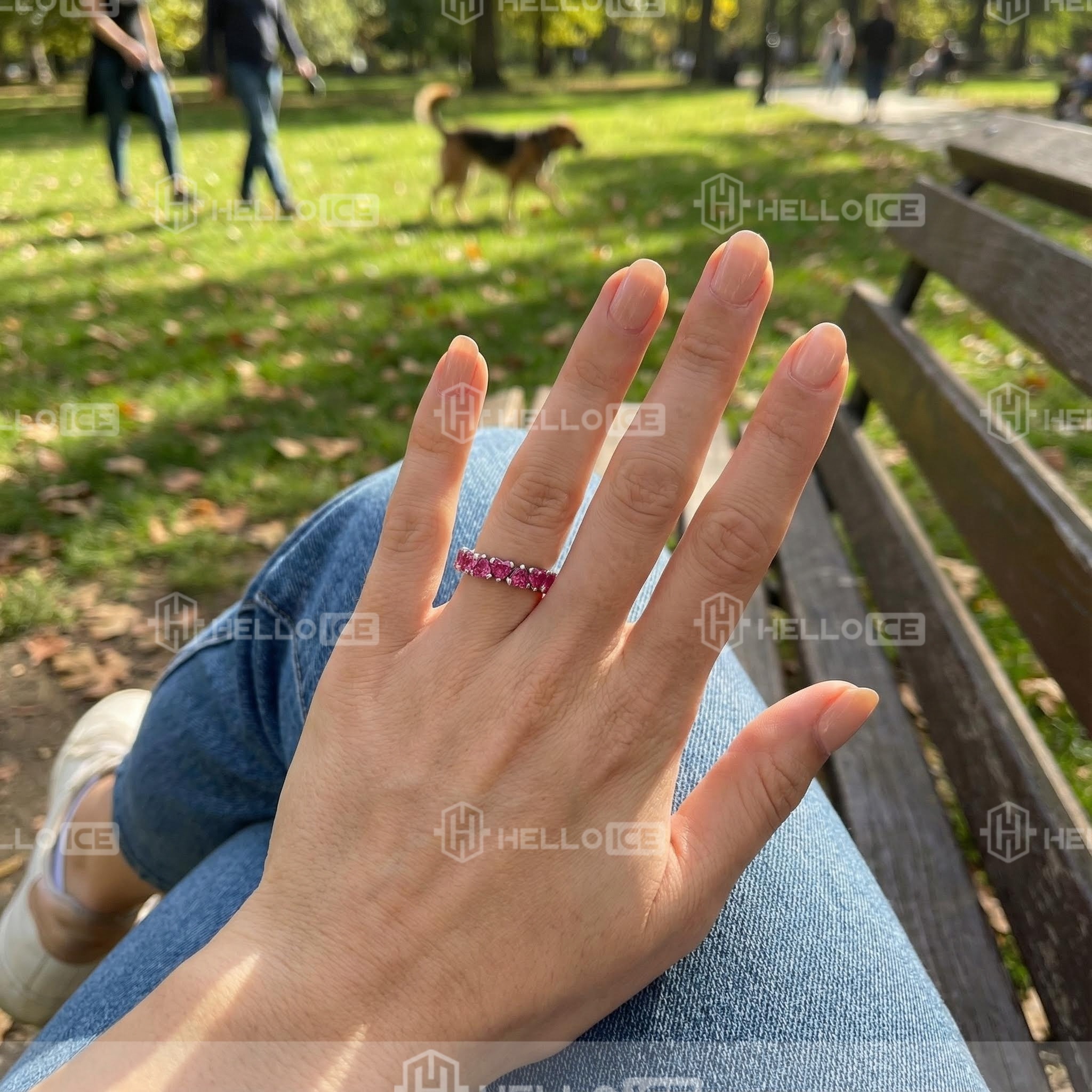 Helloice Review Image