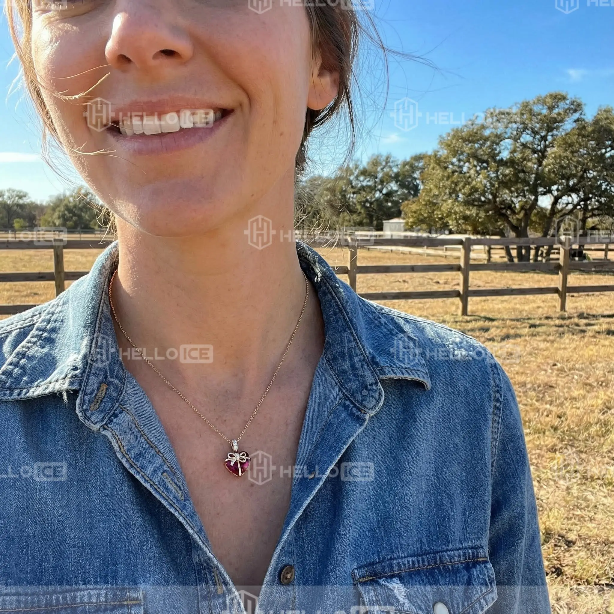 Helloice Review Image