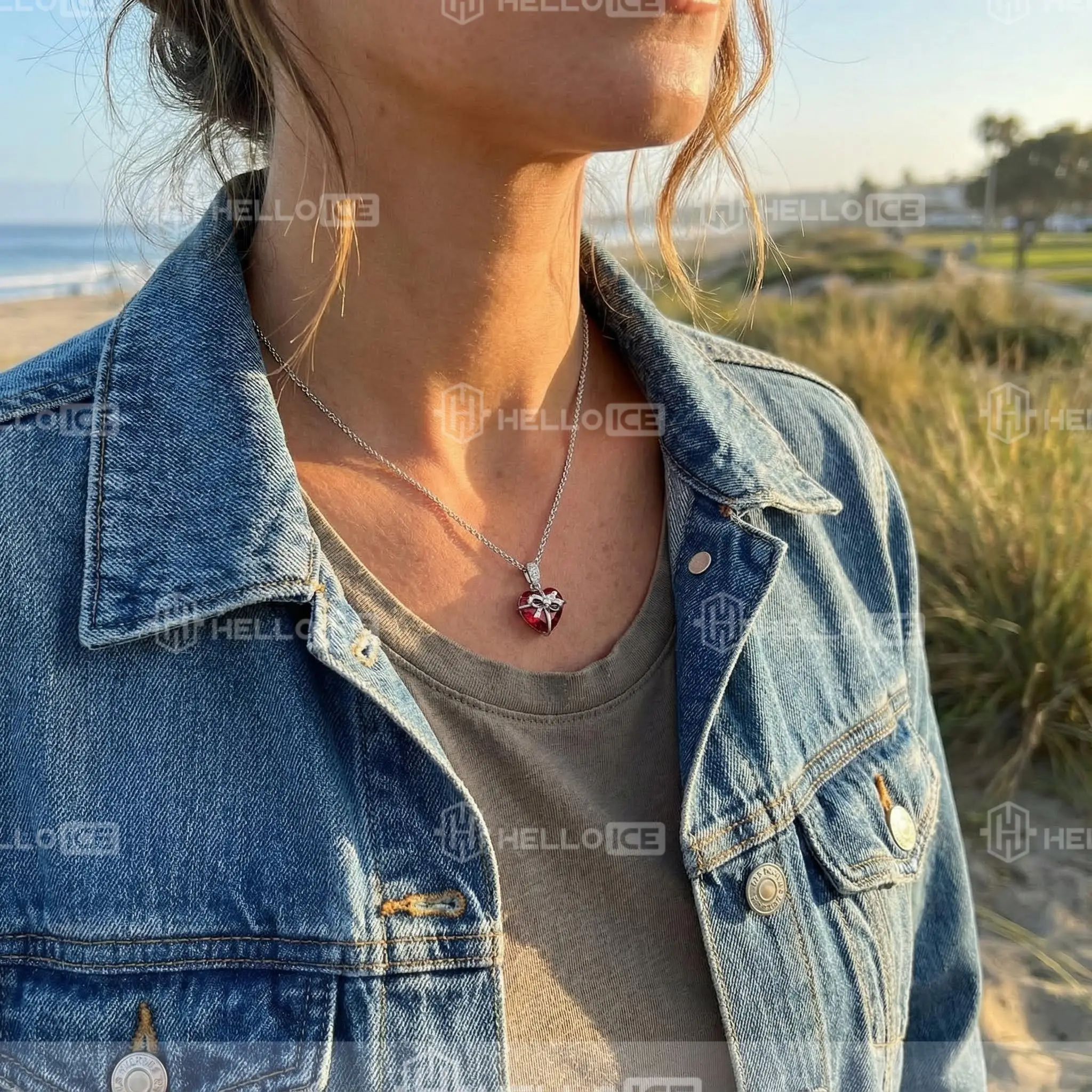 Helloice Review Image