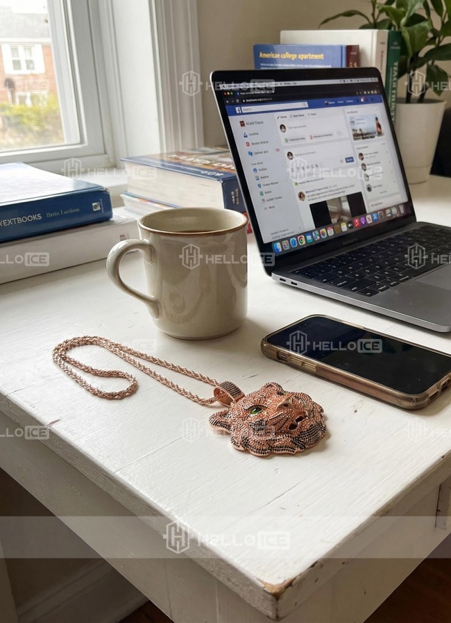 Helloice Review Image