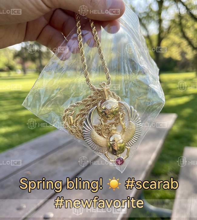 Helloice Review Image