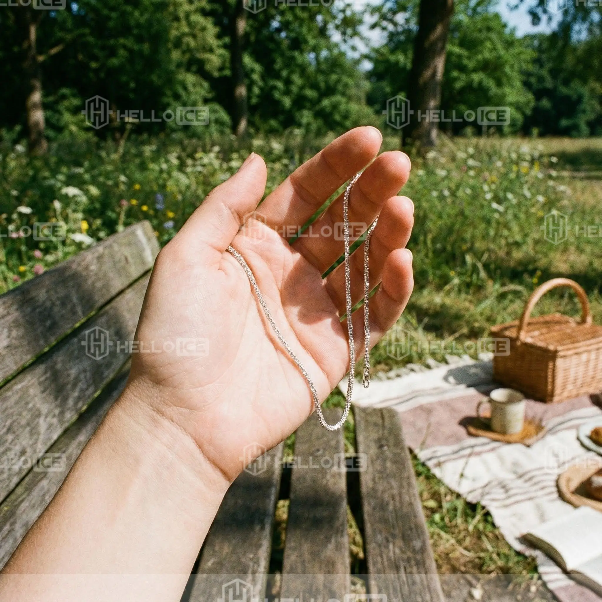 Helloice Review Image