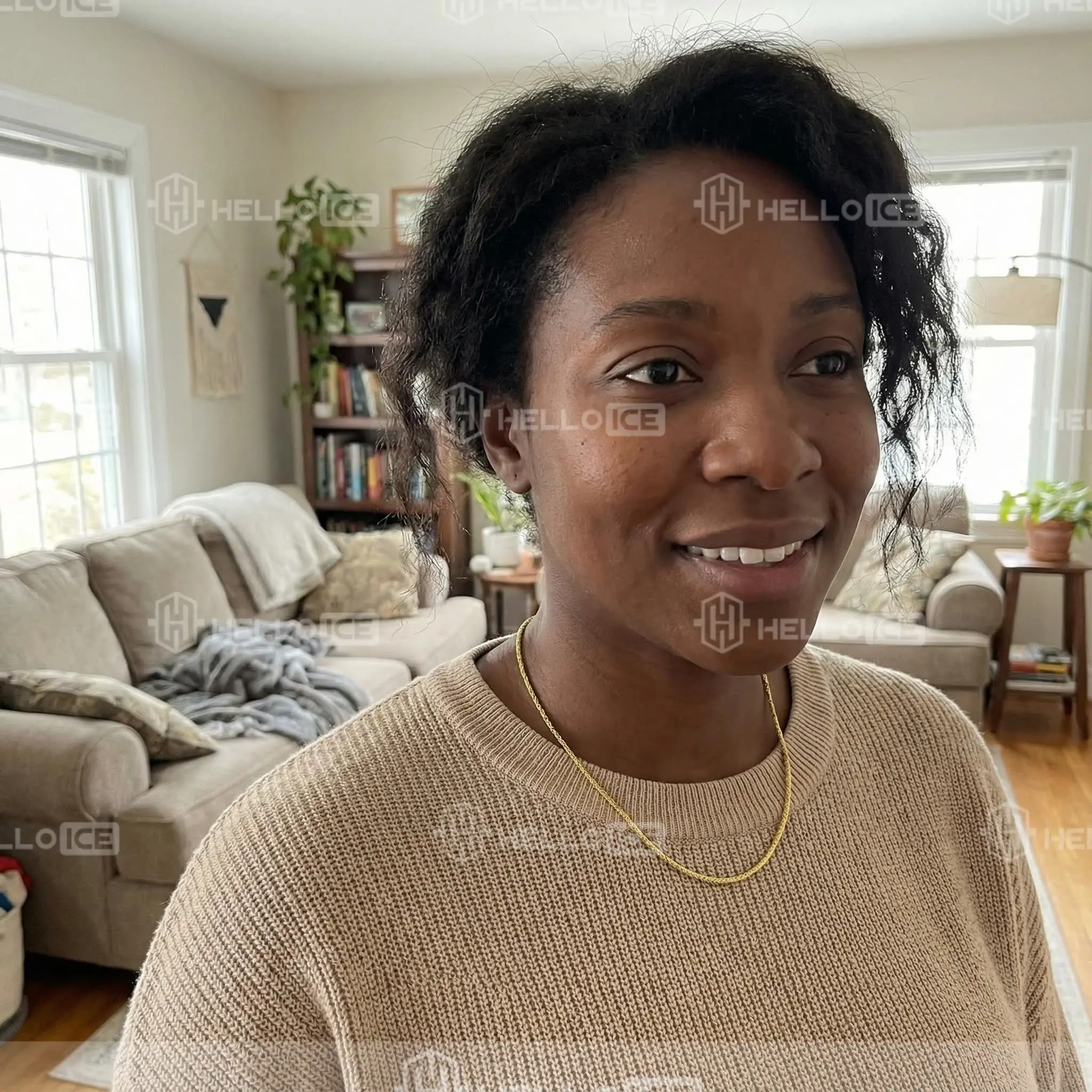 Helloice Review Image