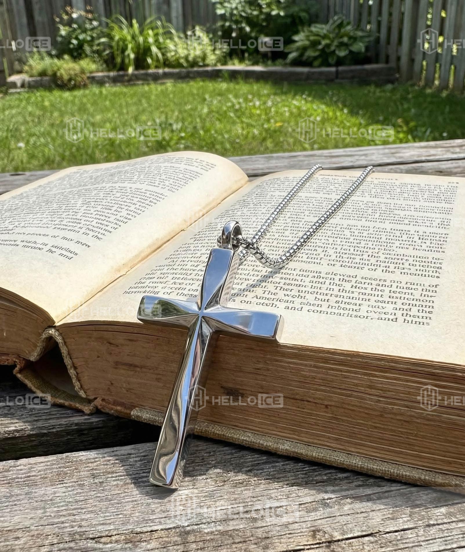 Helloice Review Image