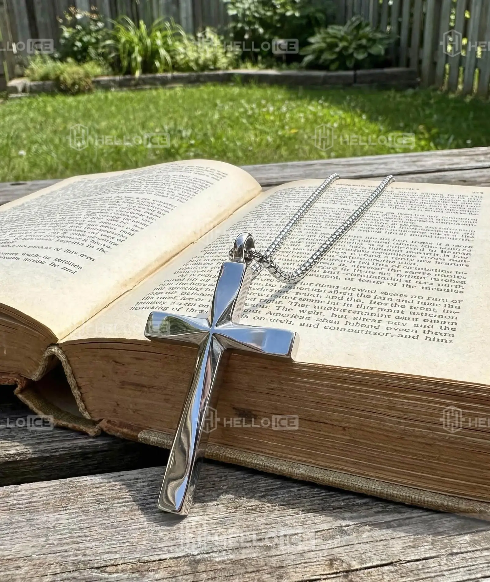 Helloice Review Image