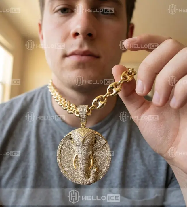 Helloice Review Image