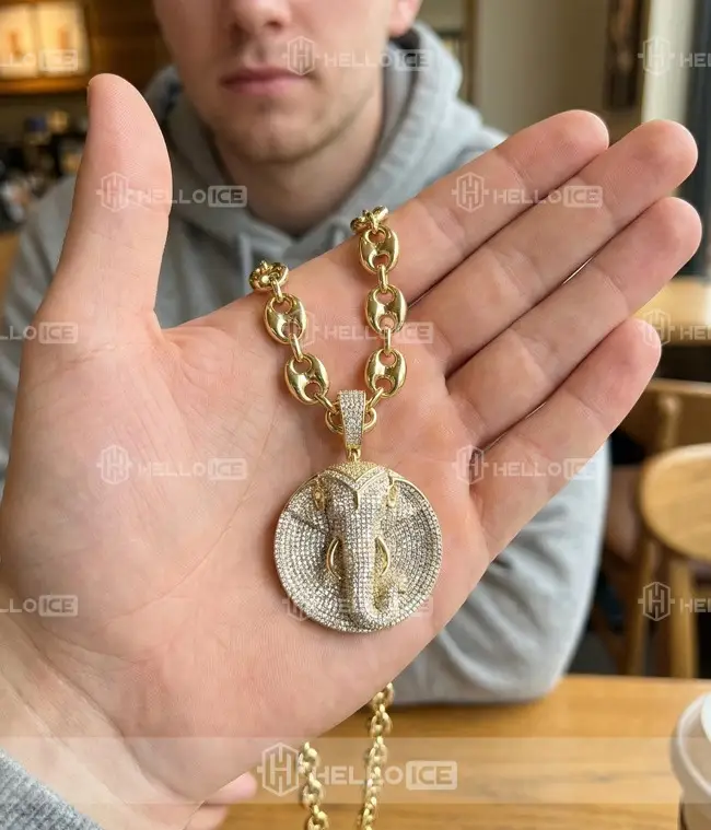 Helloice Review Image