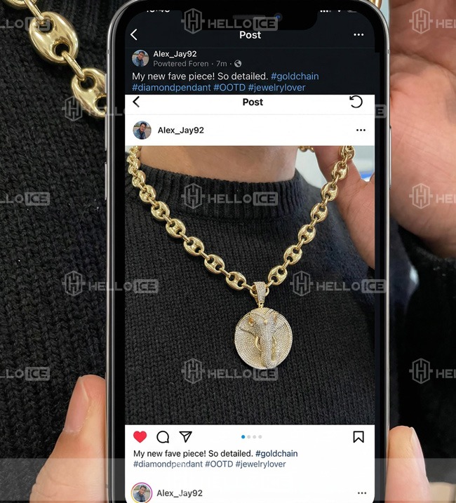 Helloice Review Image