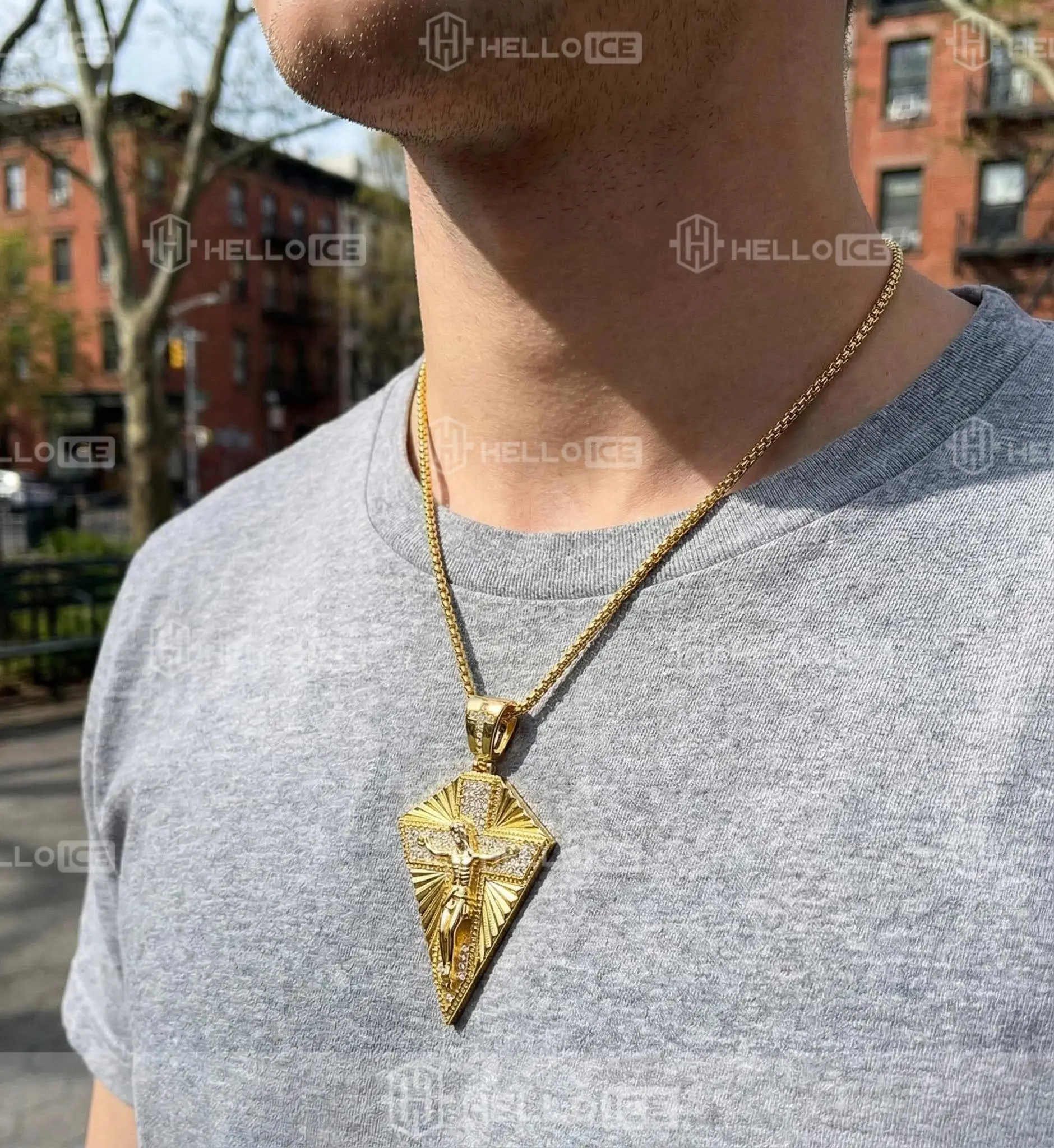 Helloice Review Image