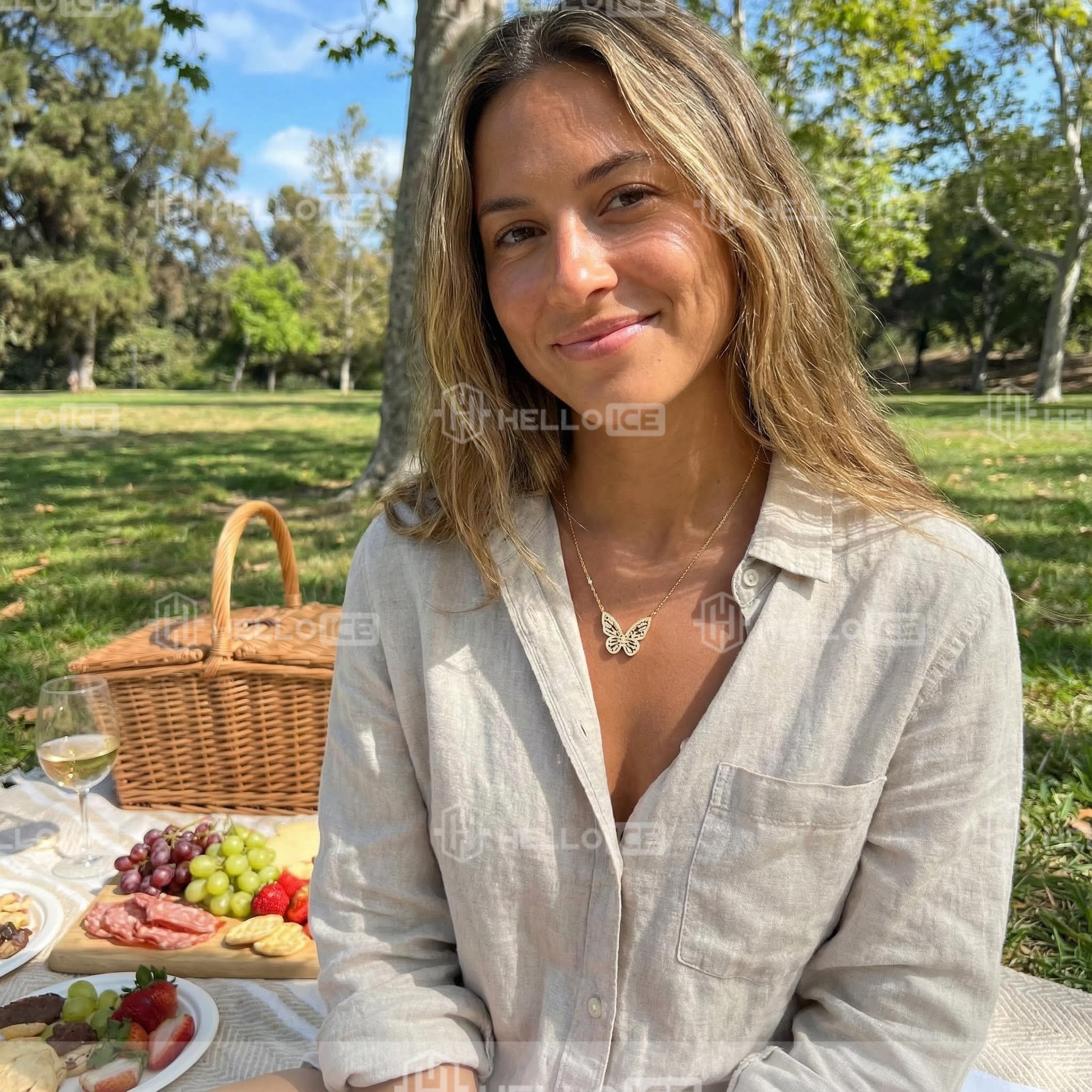 Helloice Review Image