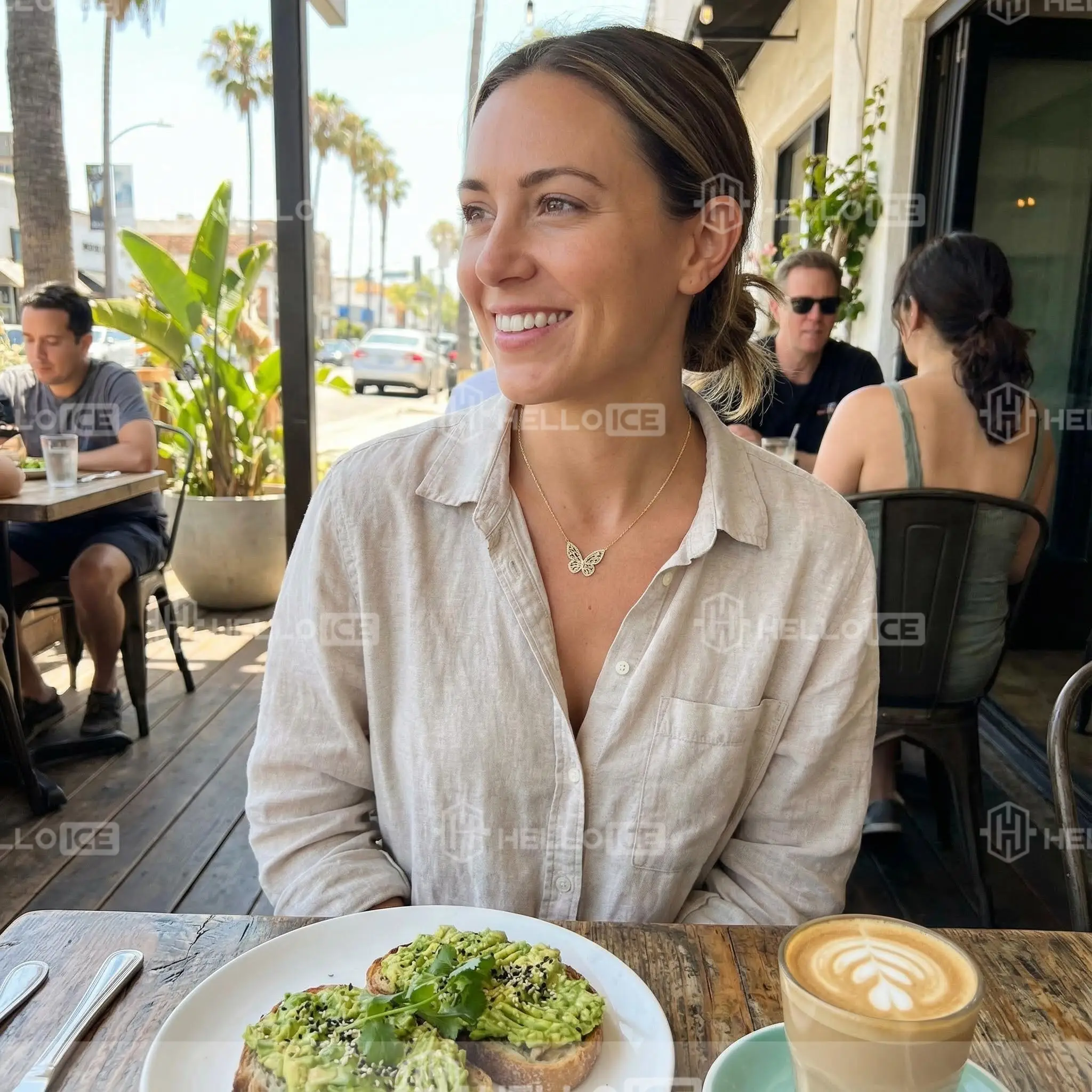 Helloice Review Image