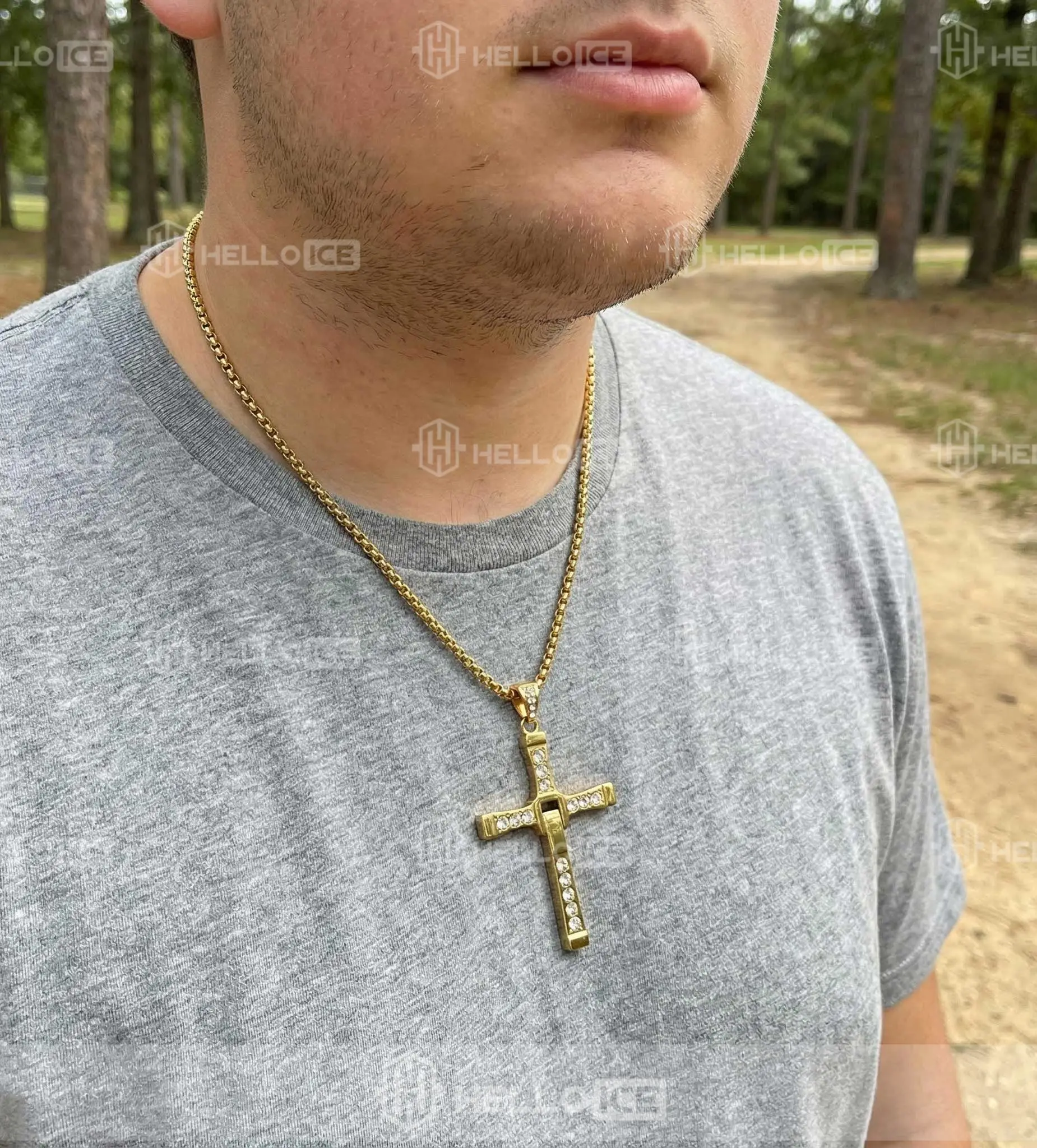 Helloice Review Image