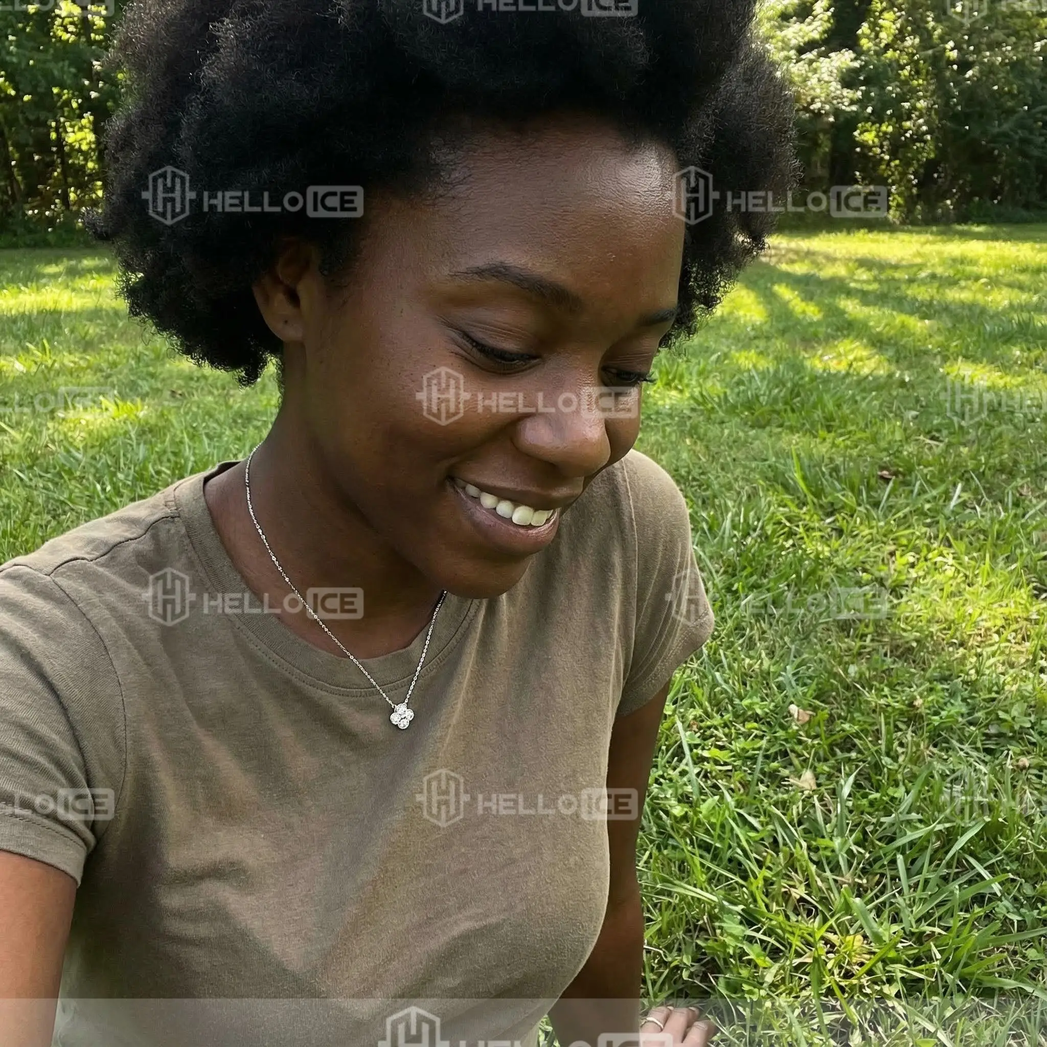 Helloice Review Image