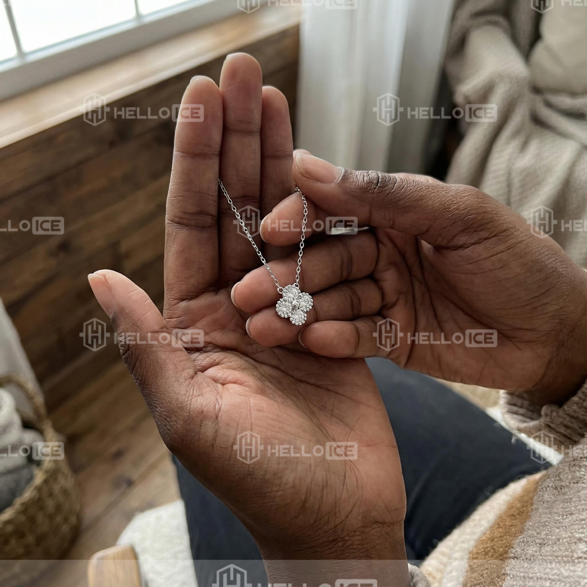 Helloice Review Image